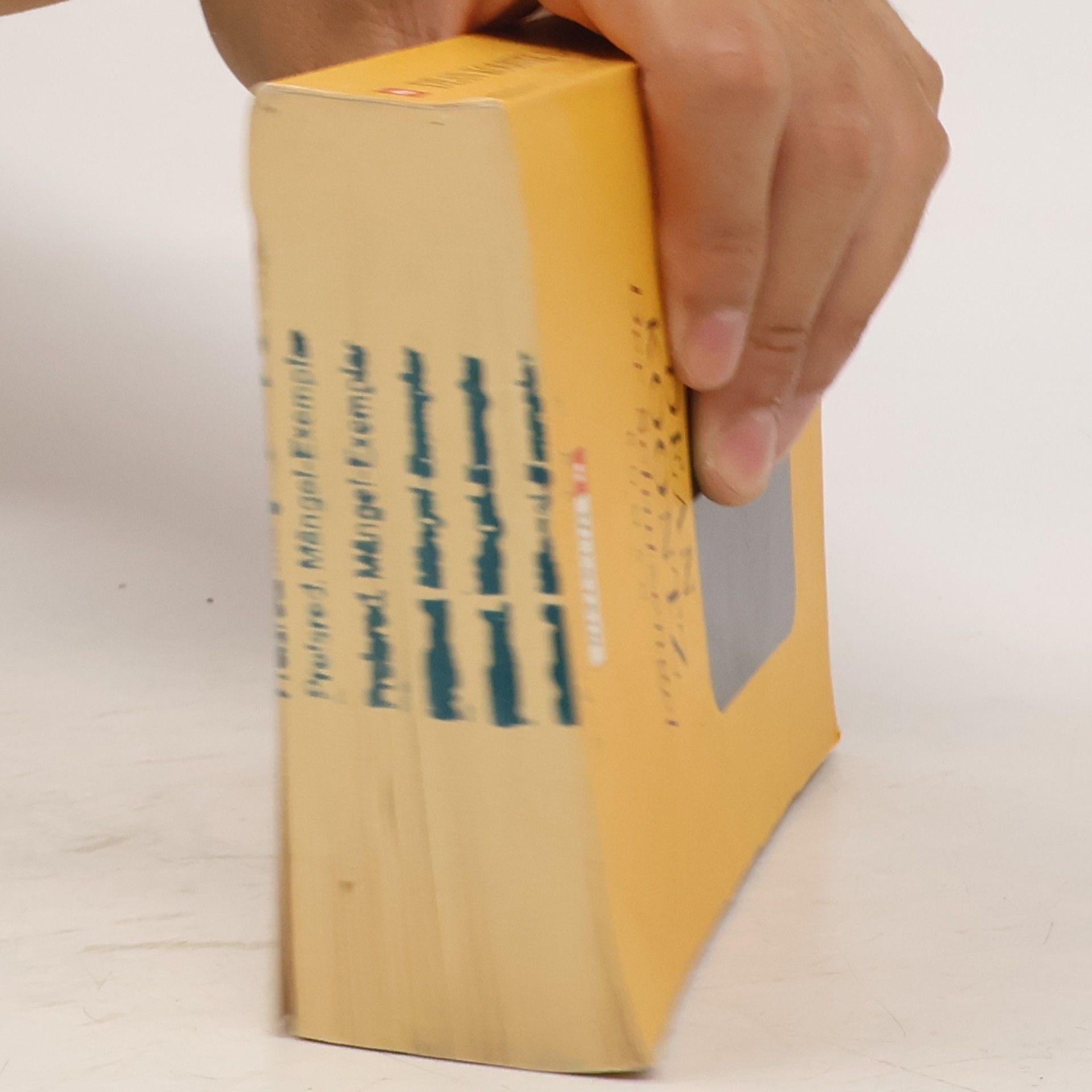 Dean Ray Koontz Der Schutzengel