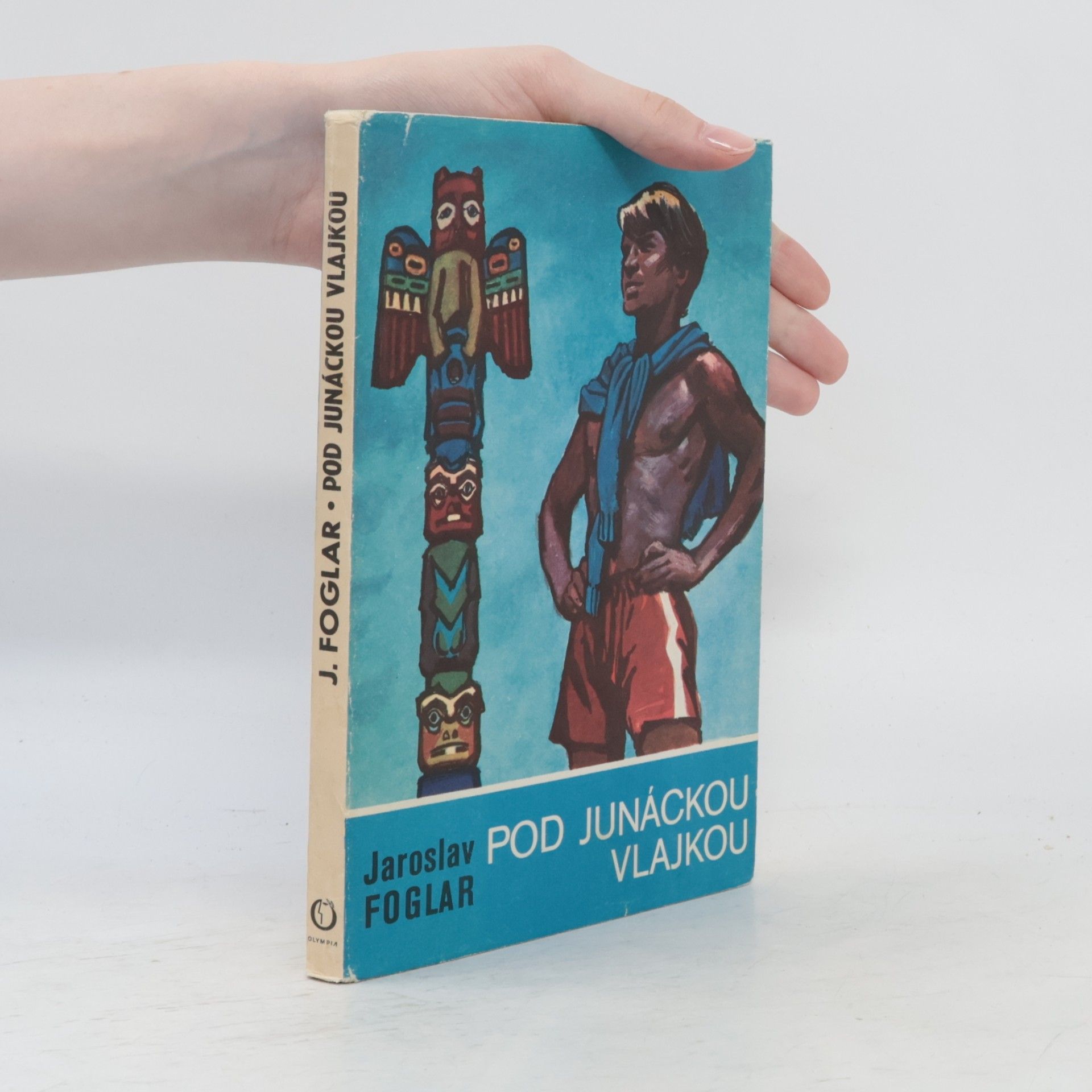 Pod junáckou vlajkou