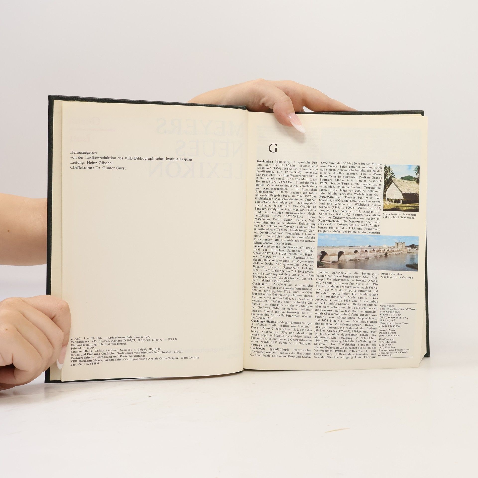 Autorenkollektiv Meyers neues Lexikon 6. Guada-Isost