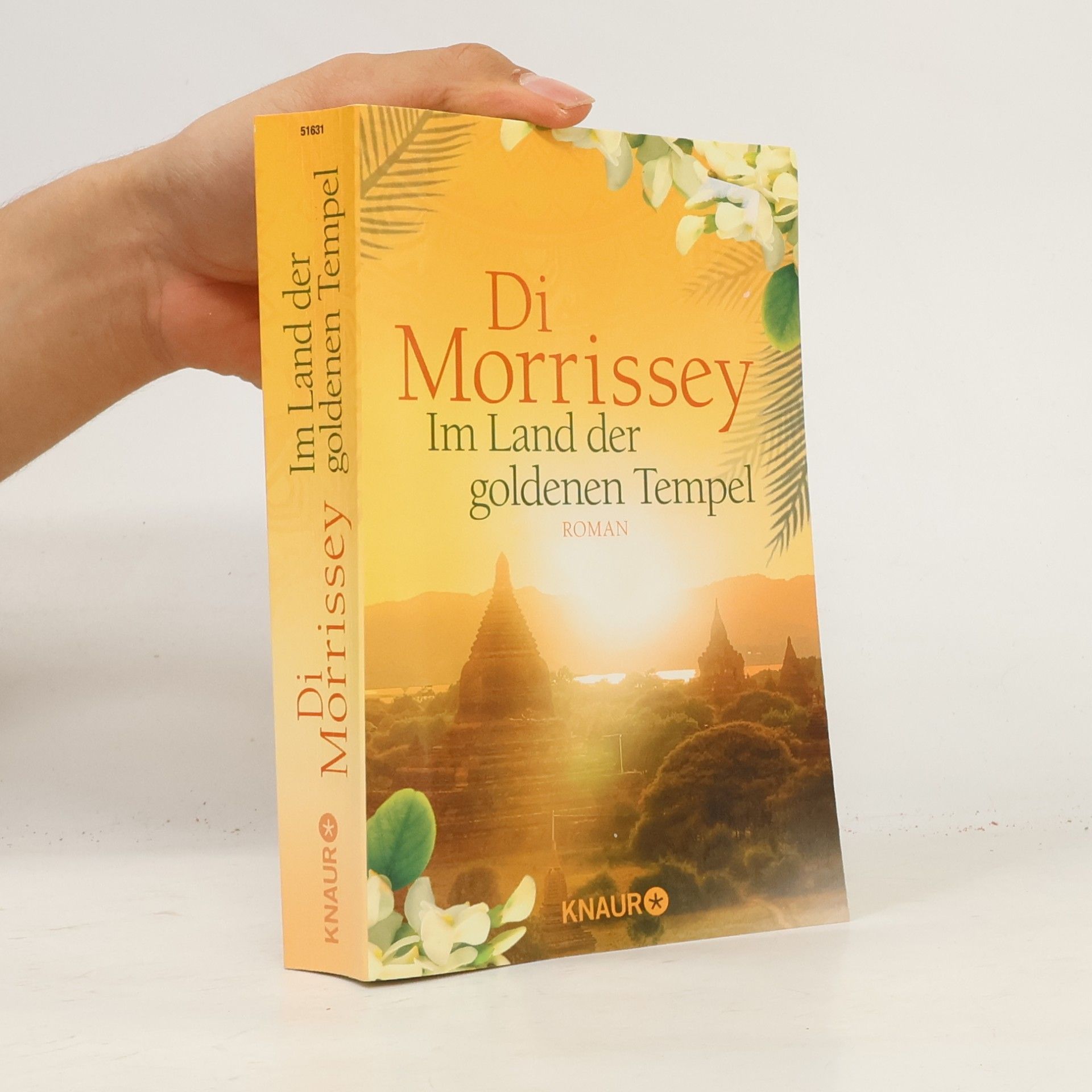 Im Land der goldenen Tempel