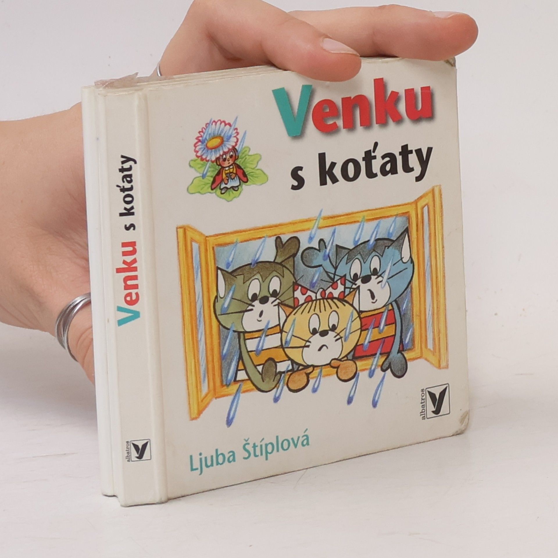 Venku s koťaty