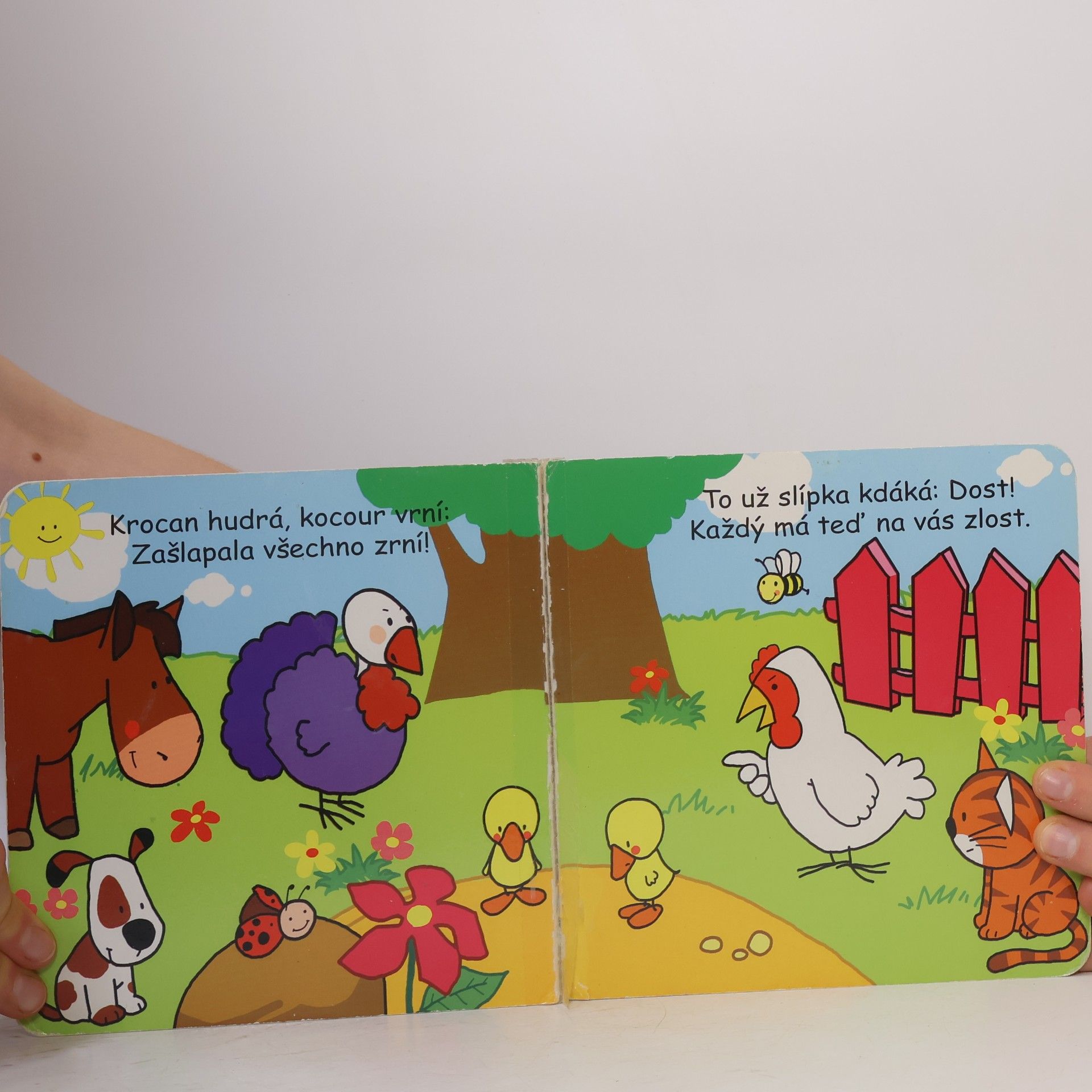Urszula Kozlovwska Dvě káčátka