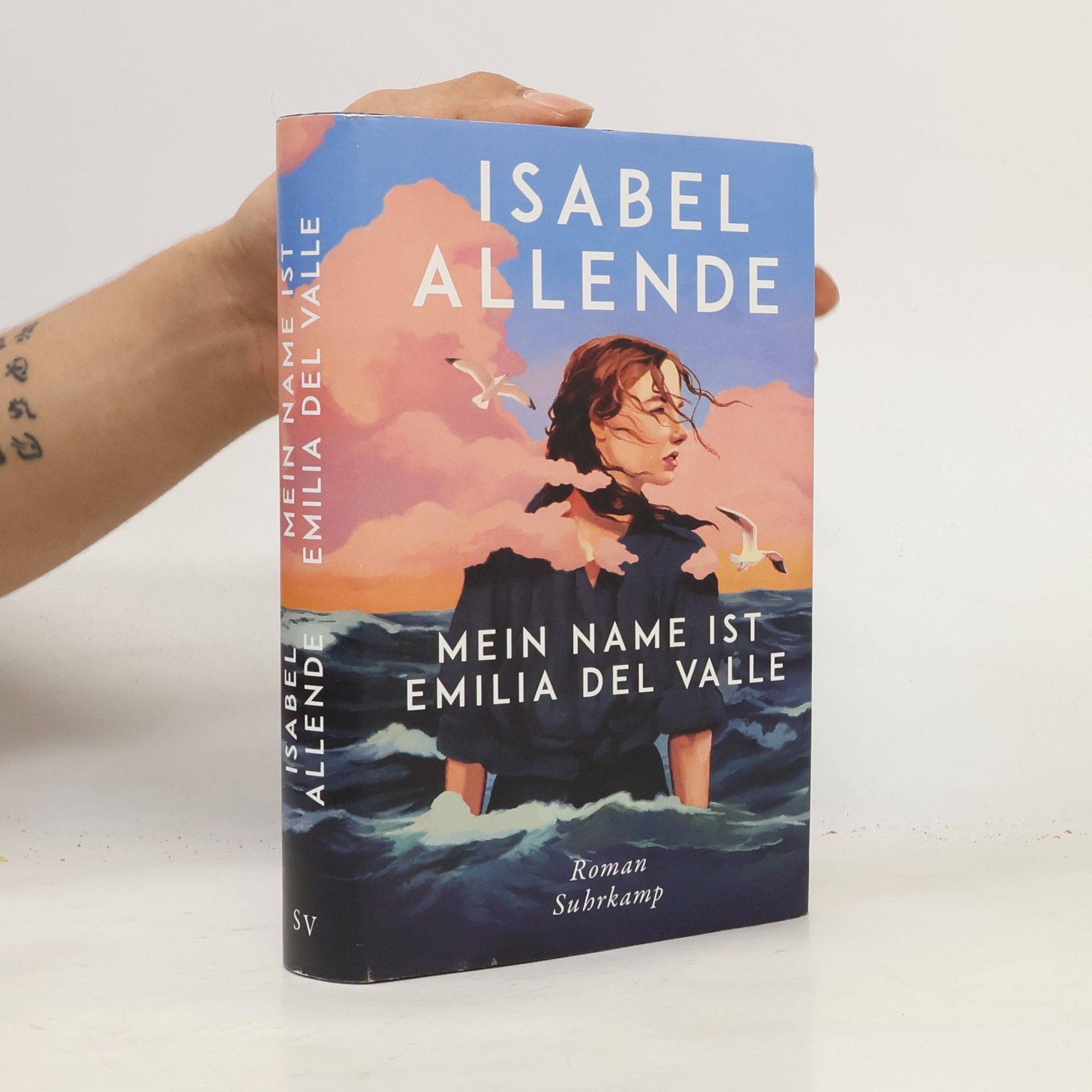 Isabel Allende Mein Name ist Emilia del Valle