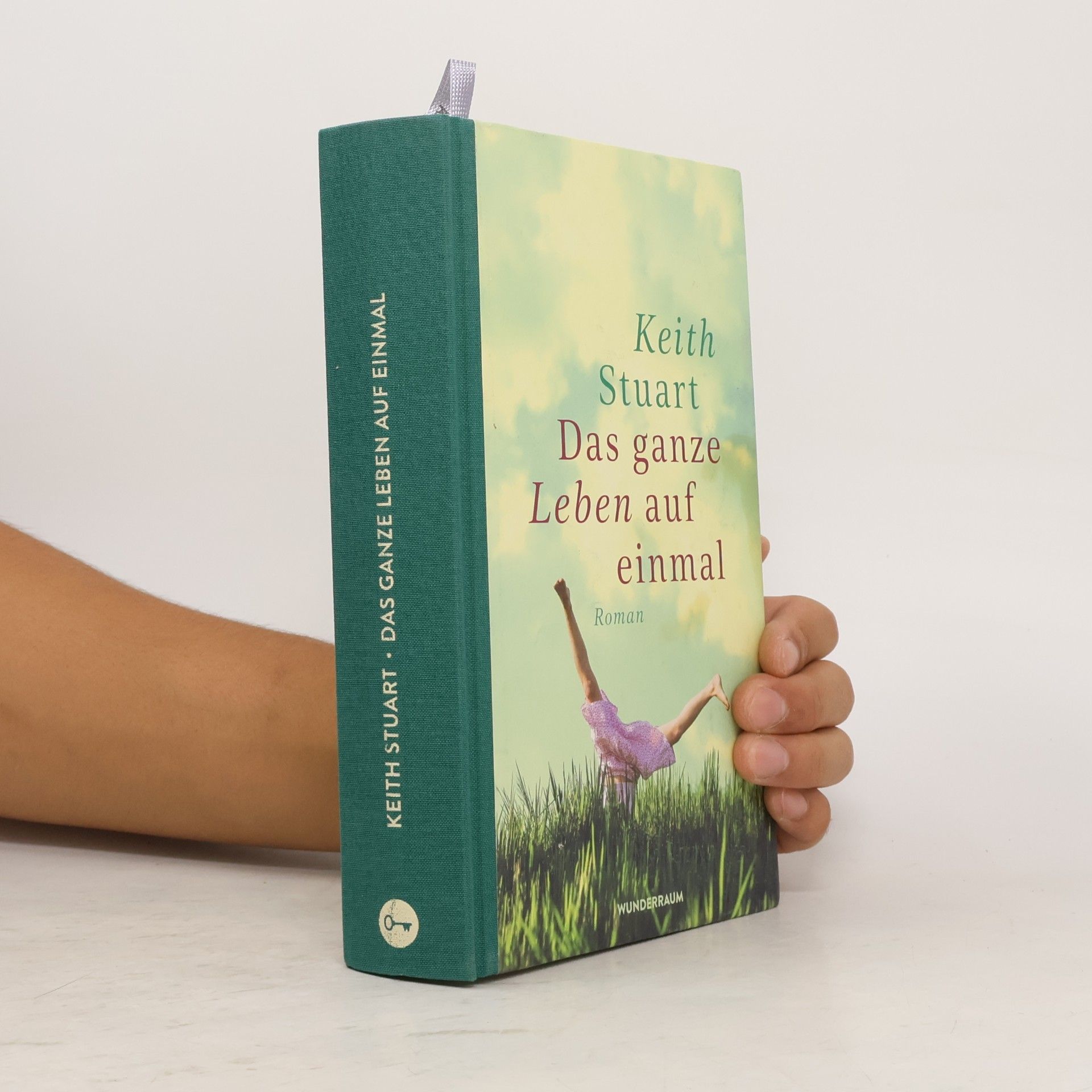 Keith Stuart Das ganze Leben auf einmal