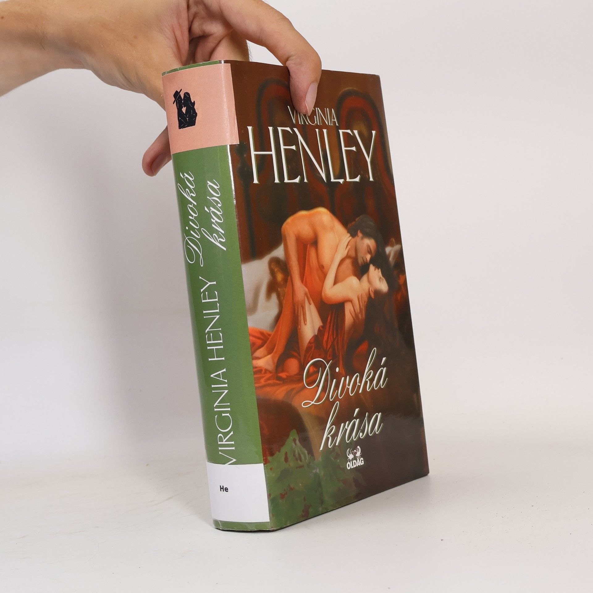Virginia Henley Divoká krása
