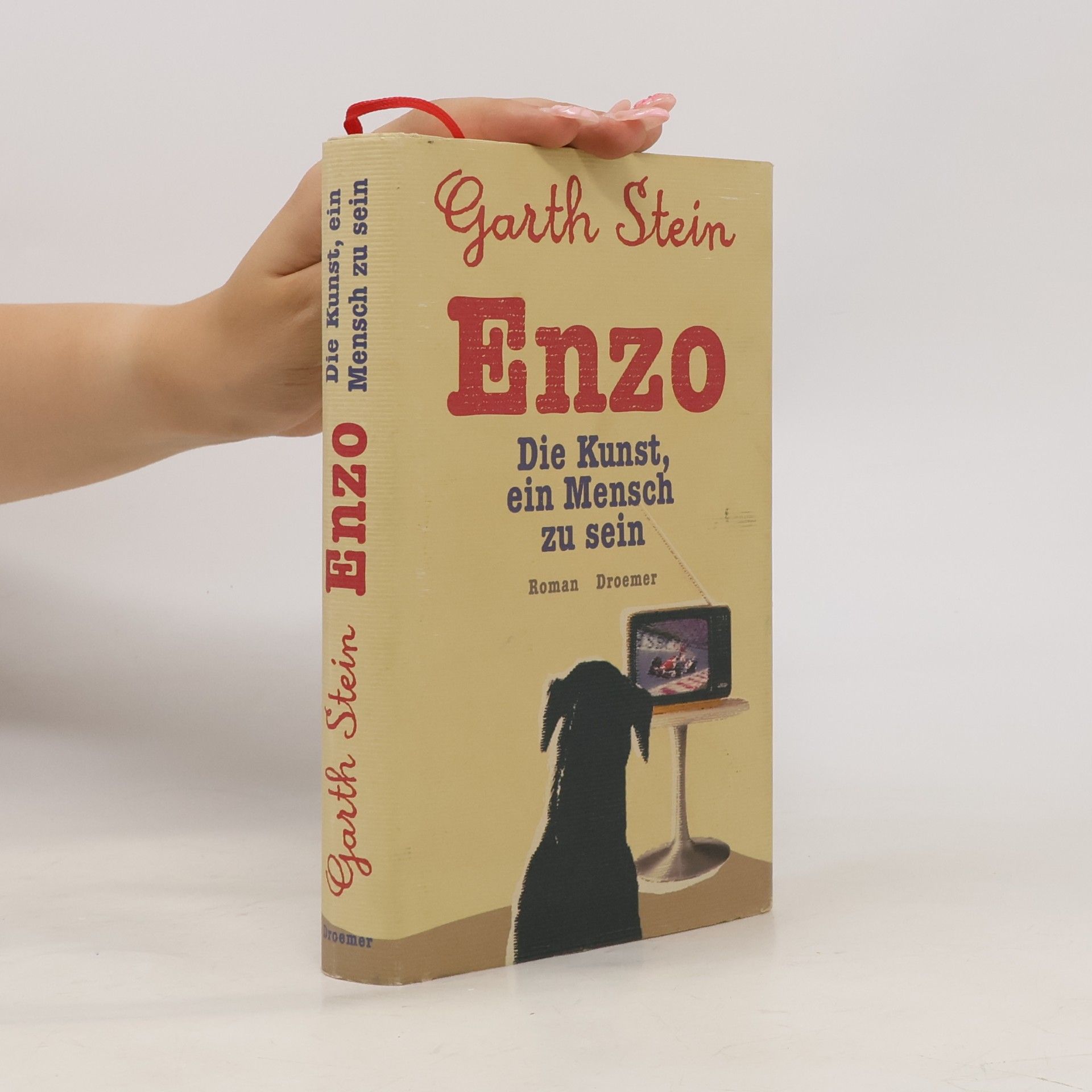 Garth Stein Enzo