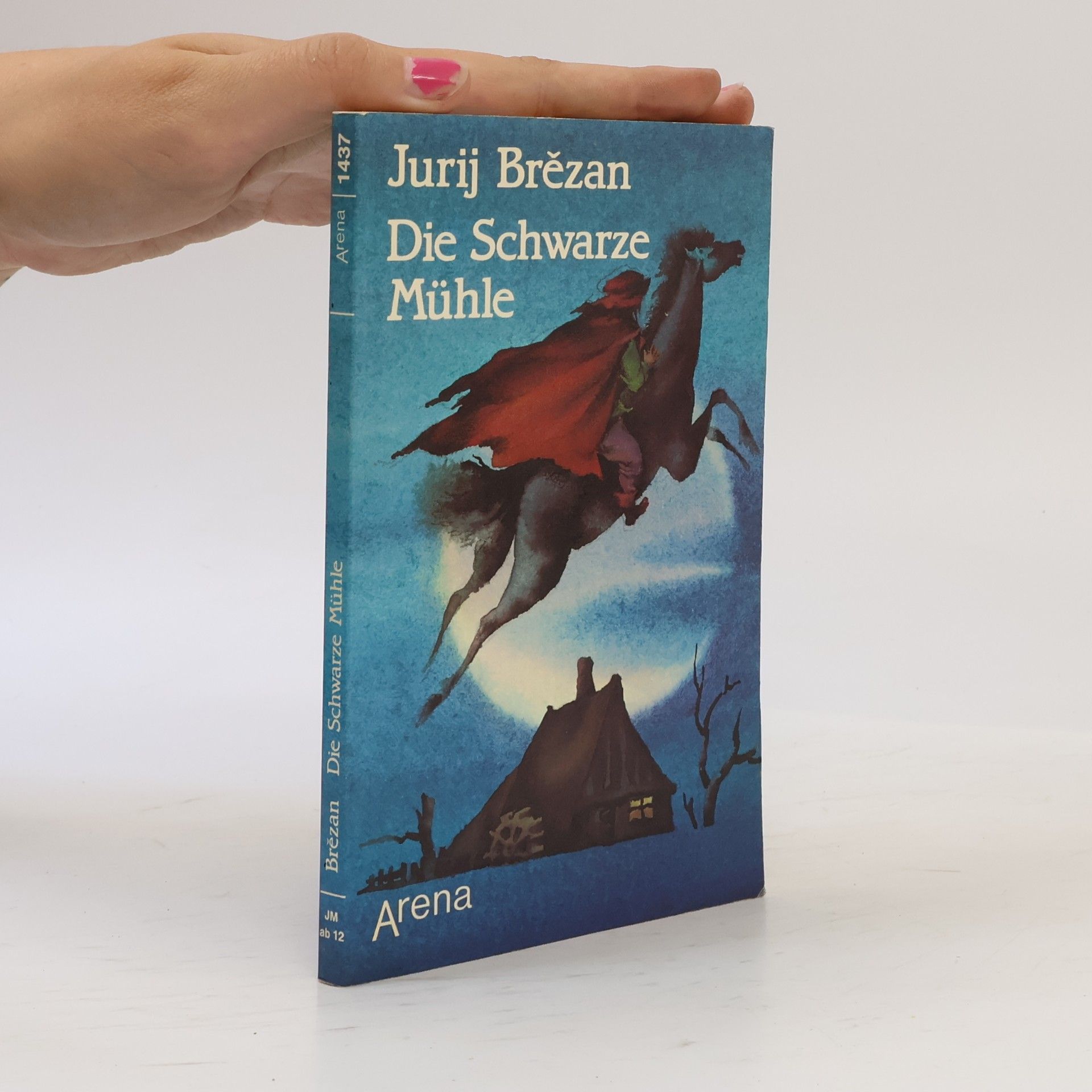 Jurij Brězan Die schwarze Mühle