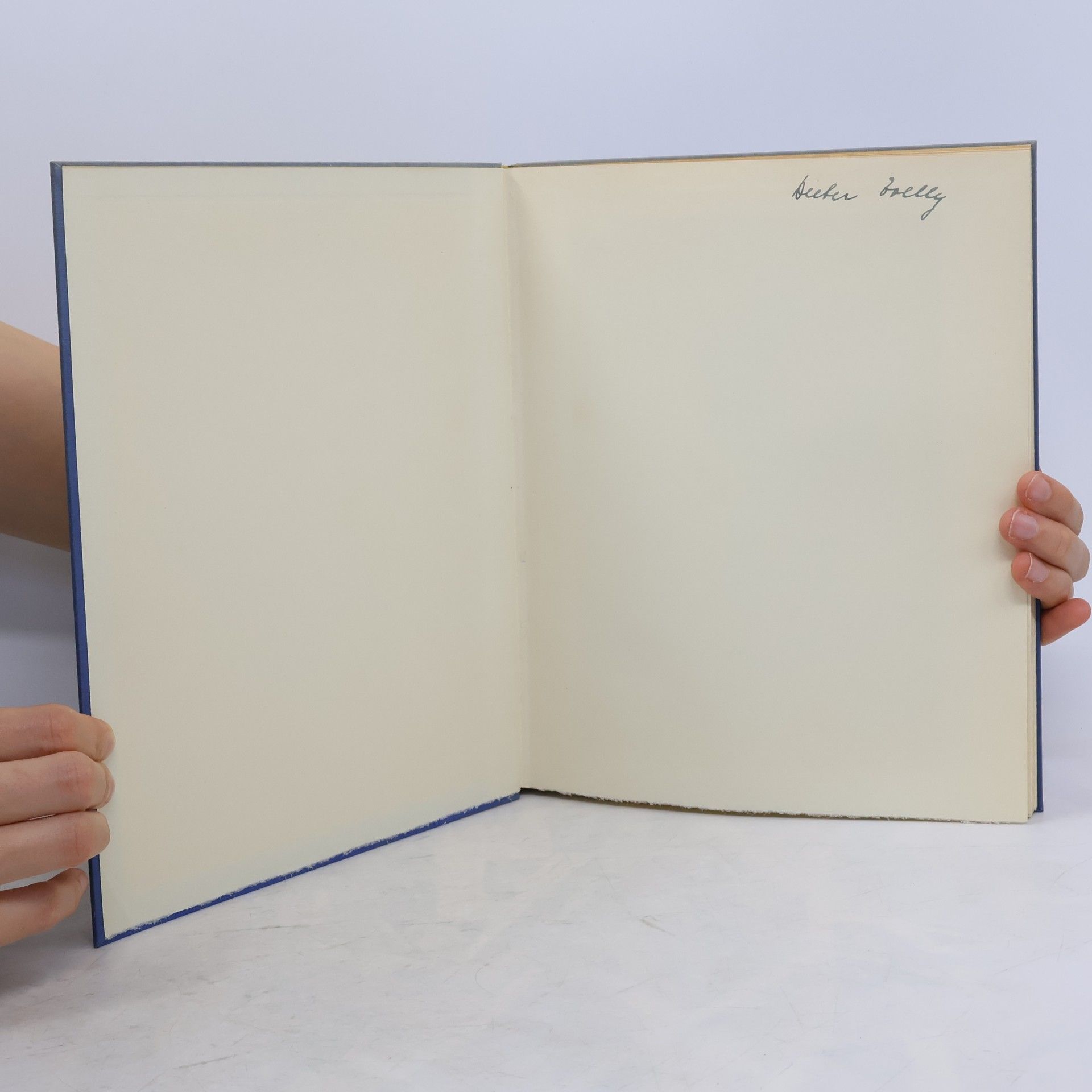 kolektiv Fünzig Jahre Reitclub Zürich 1881-1931
