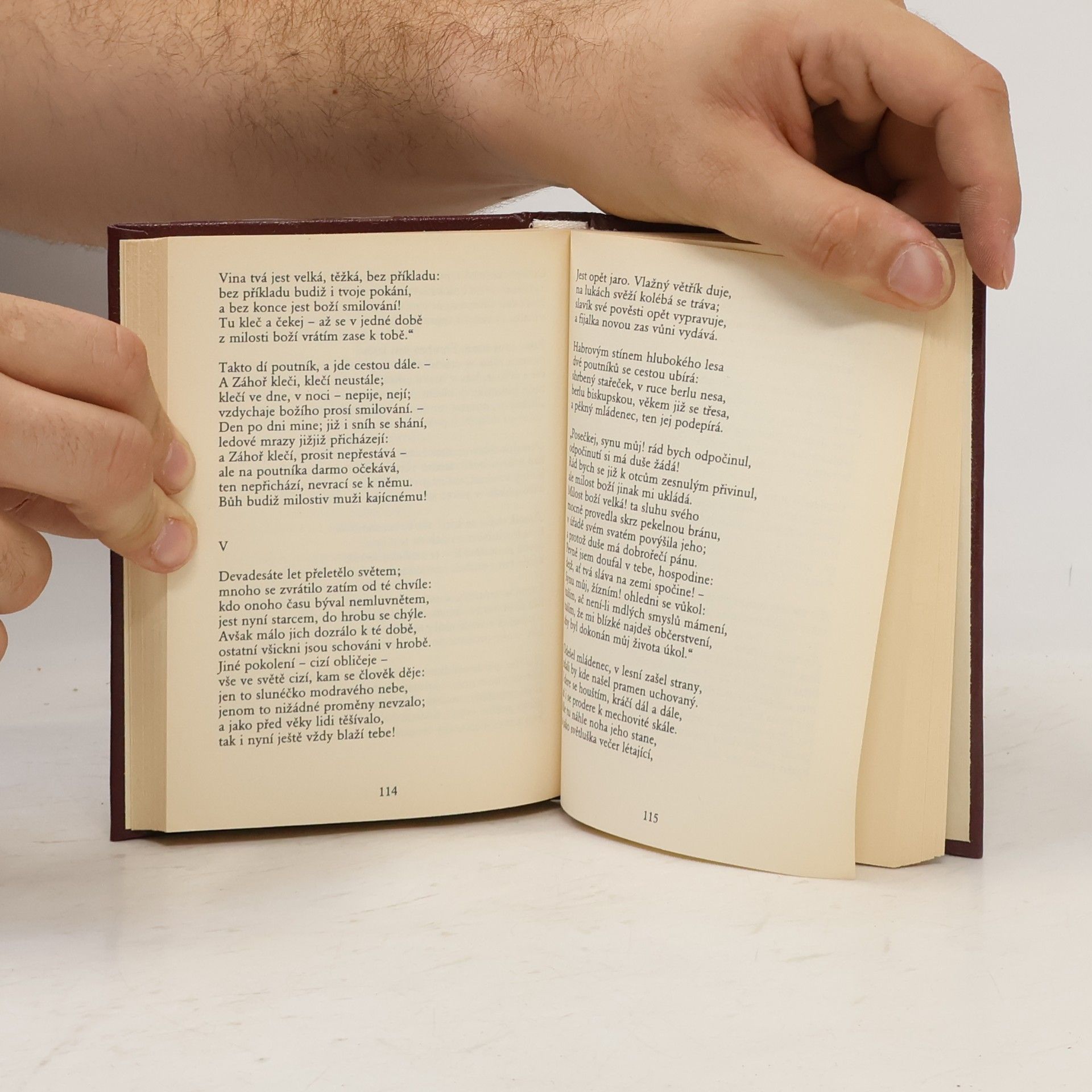 Karel Hynek Mácha To nejlepší z české poezie 19. století: Máj, Kytice