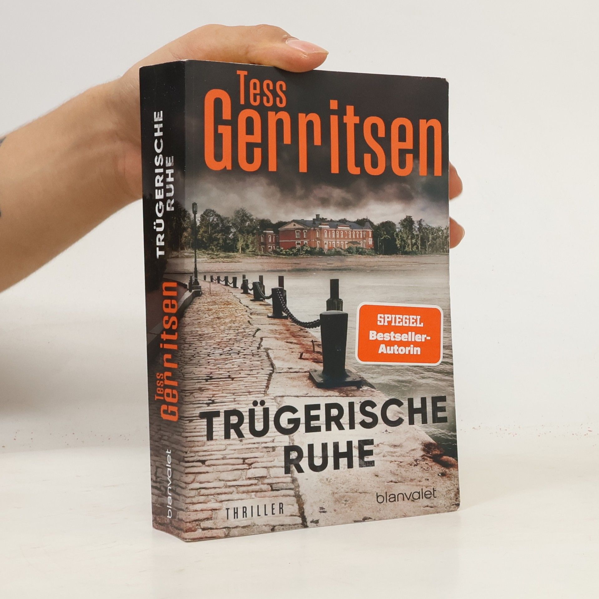 Tess Gerritsen Trügerische Ruhe