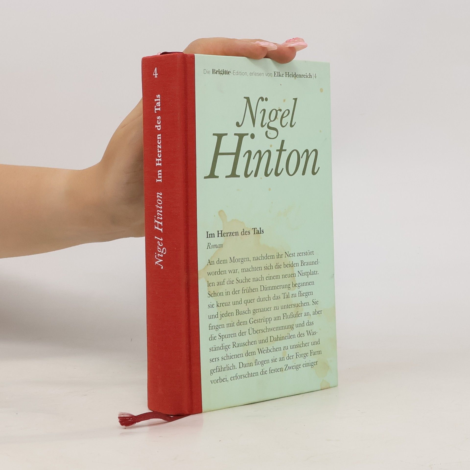 Nigel Hinton Im Herzen des Tals 4
