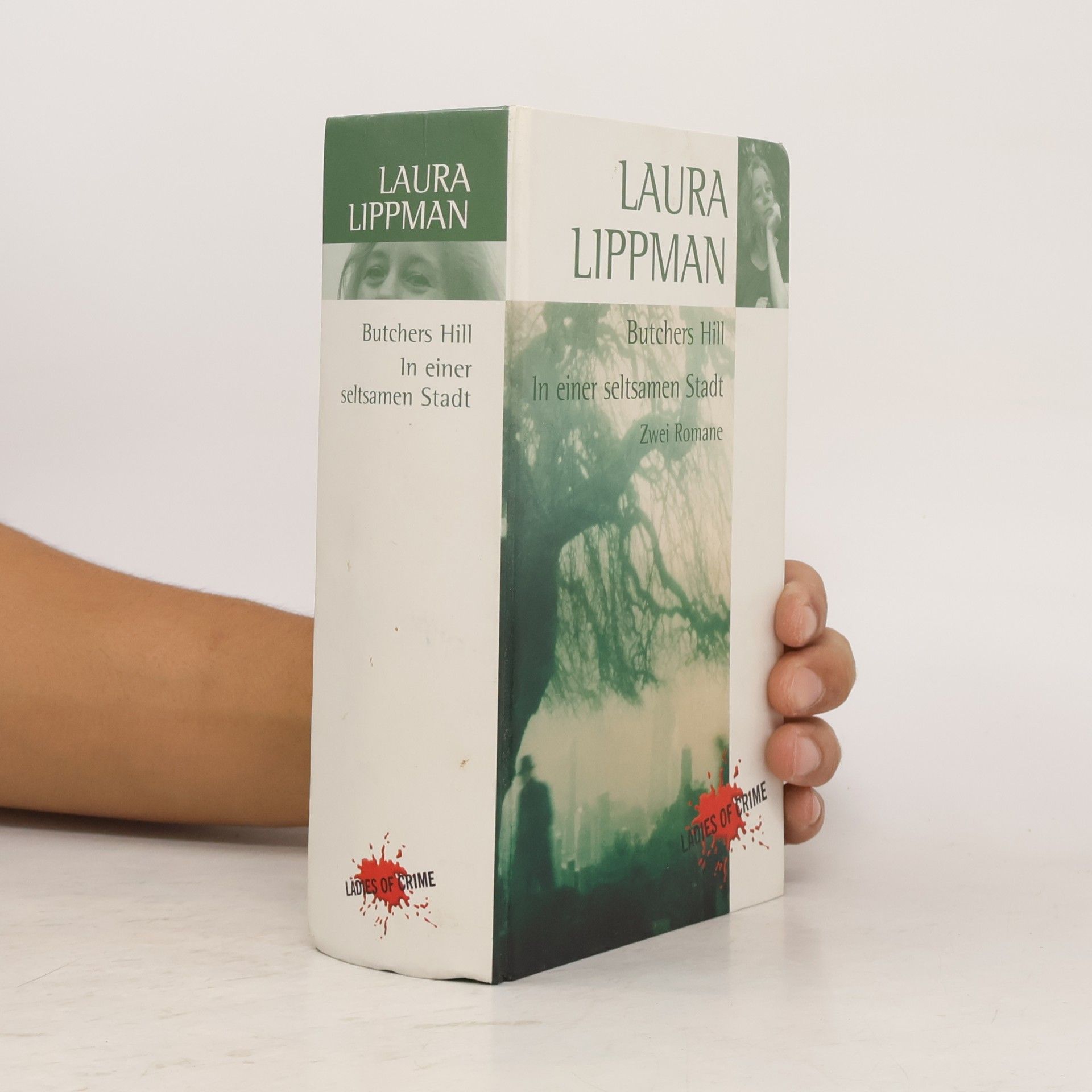 Laura Lippman Butchers Hill In einer seltsamen Stadt