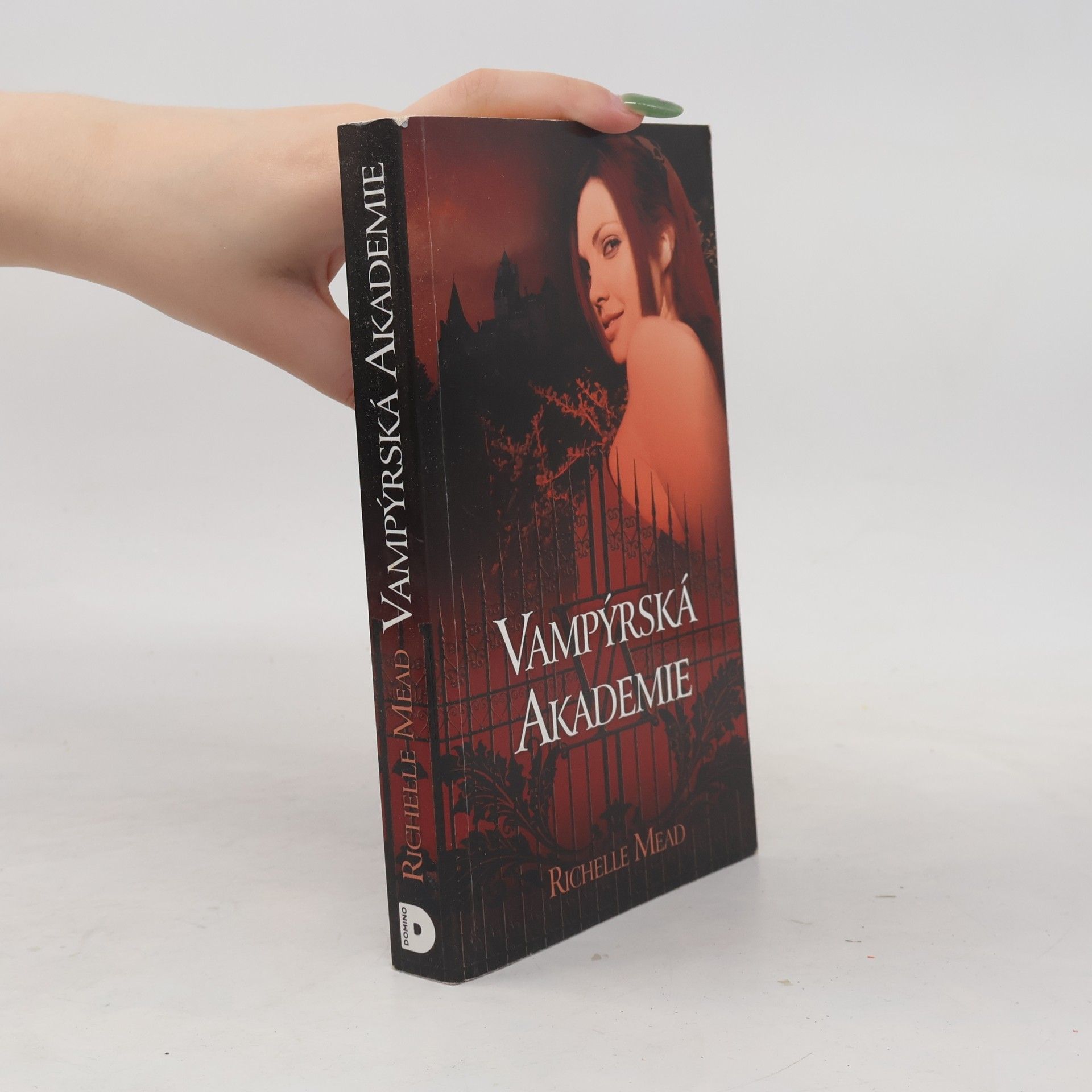 Richelle Mead Vampýrská akademie