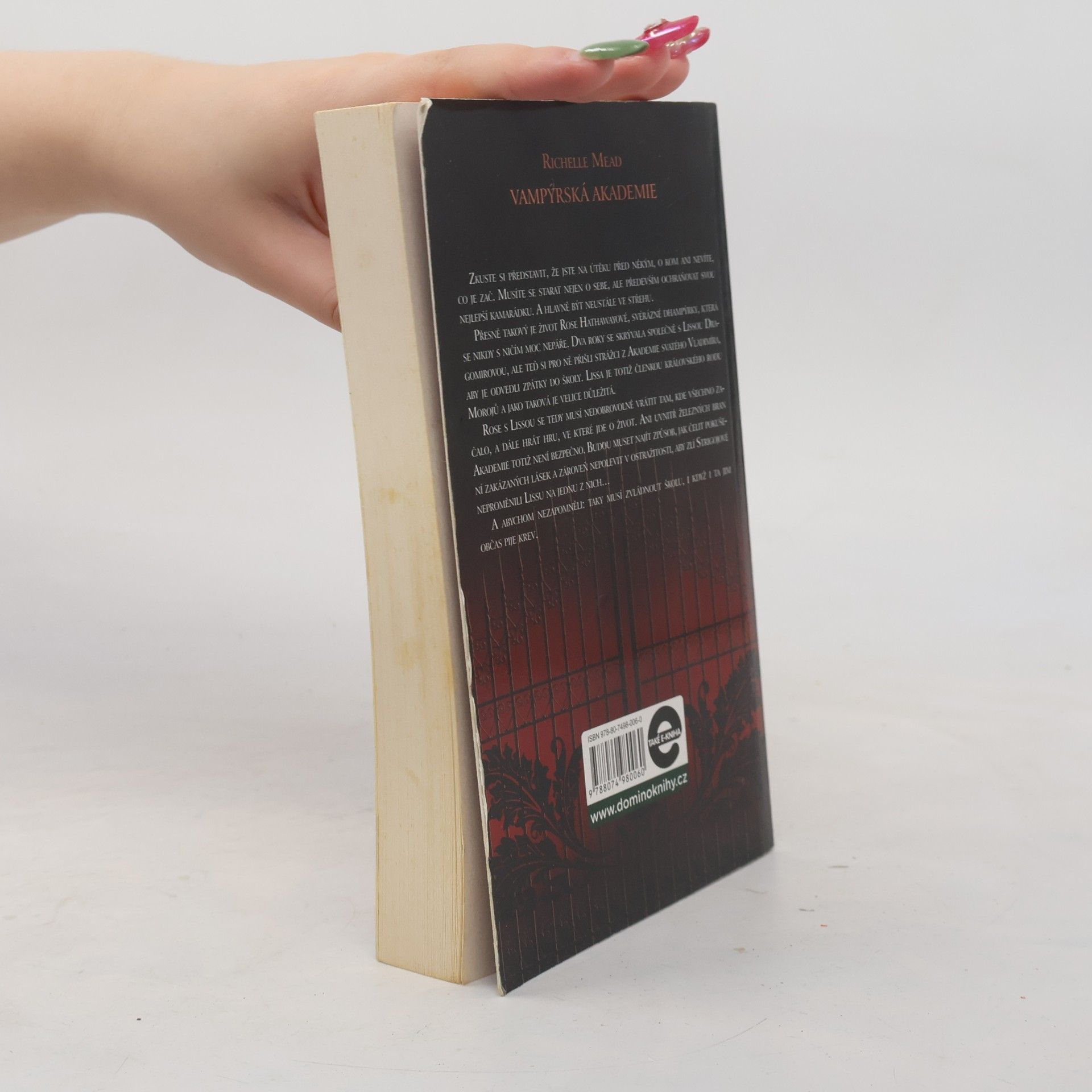 Richelle Mead Vampýrská akademie