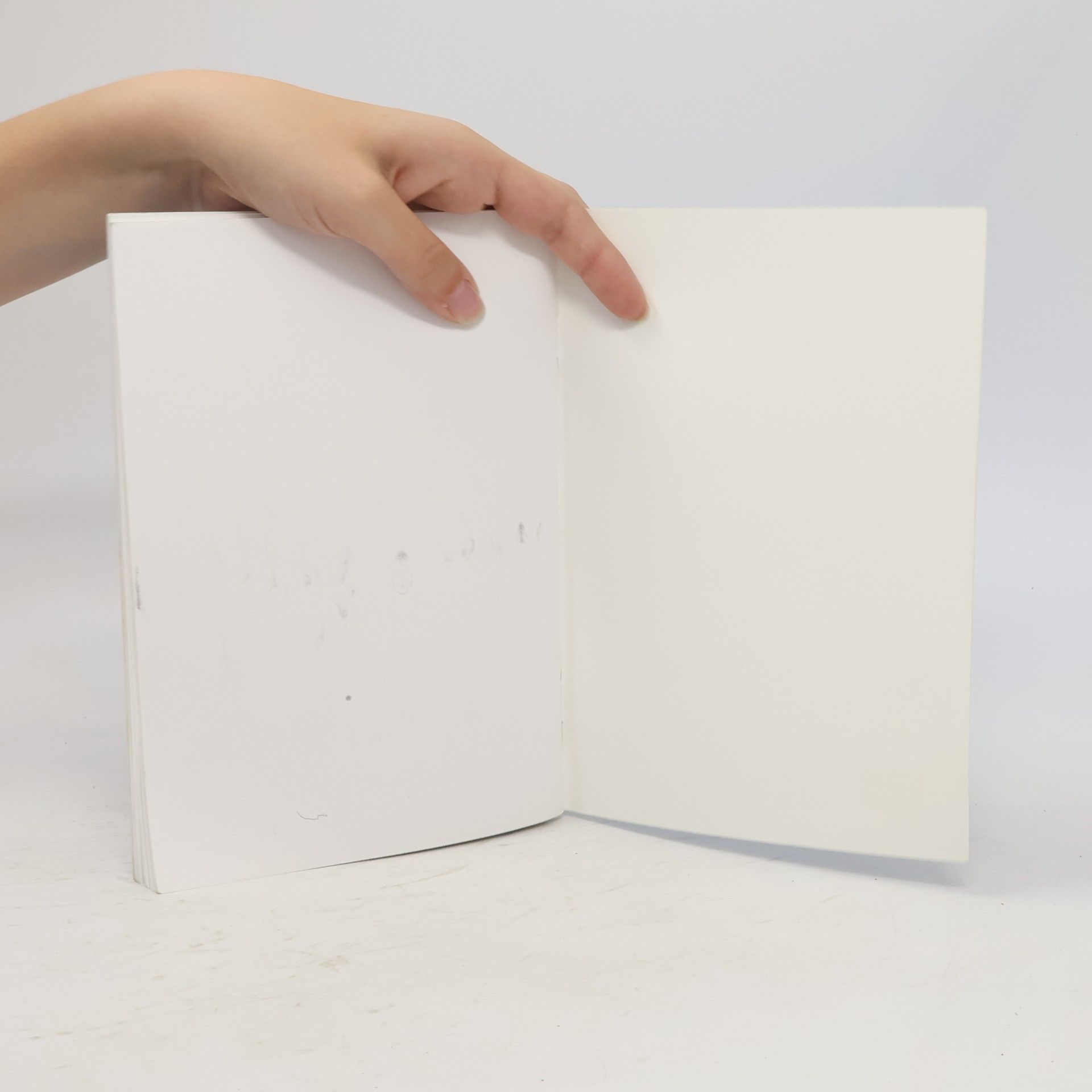 Christina Ruse Opportunities. Pre-Intermediate Mini-Dictionary