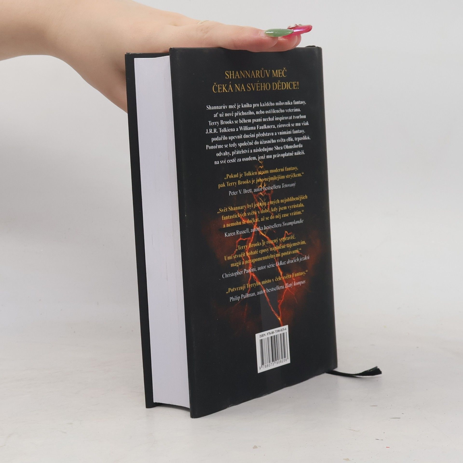 Terry Brooks Shannarův meč
