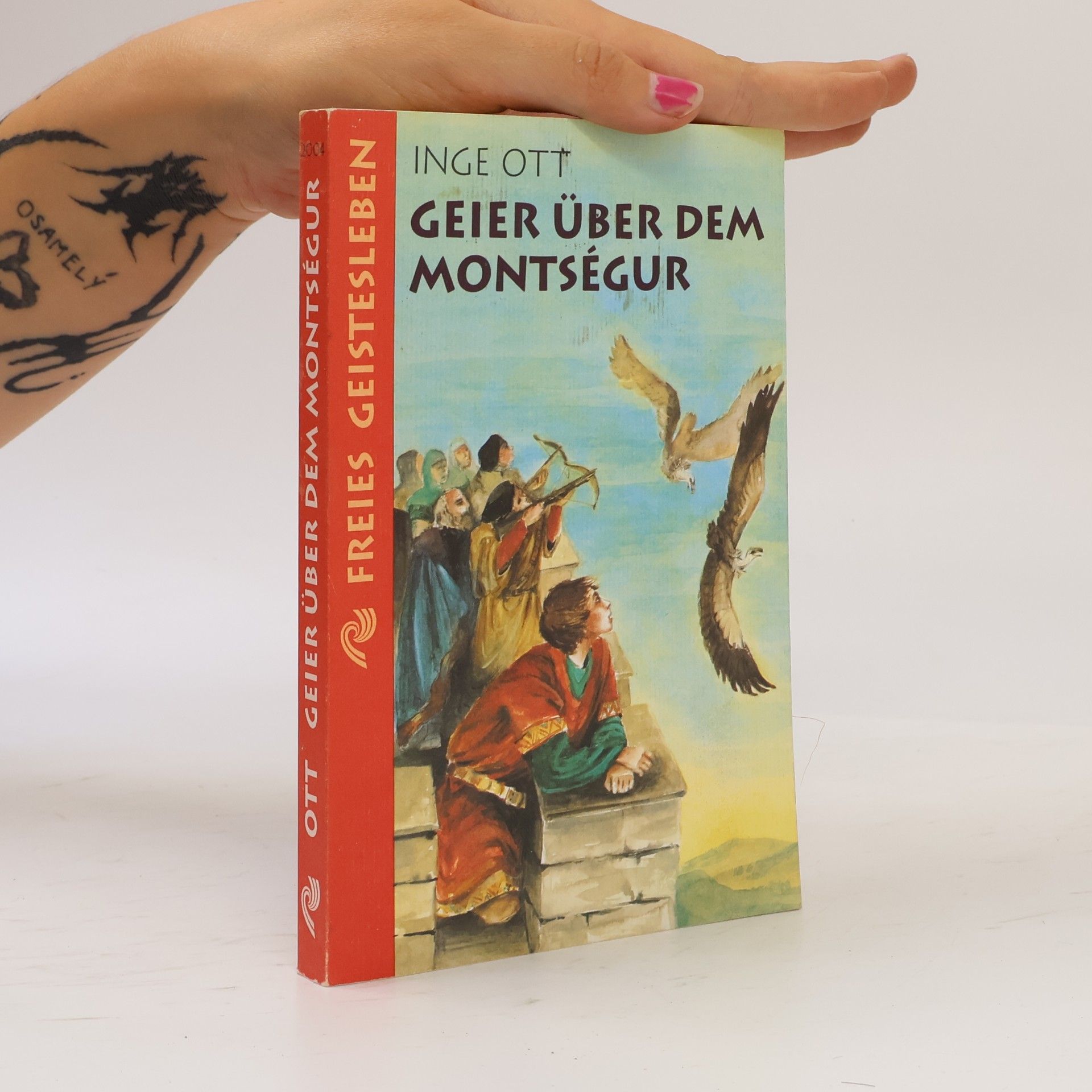 Geier über dem Montségur