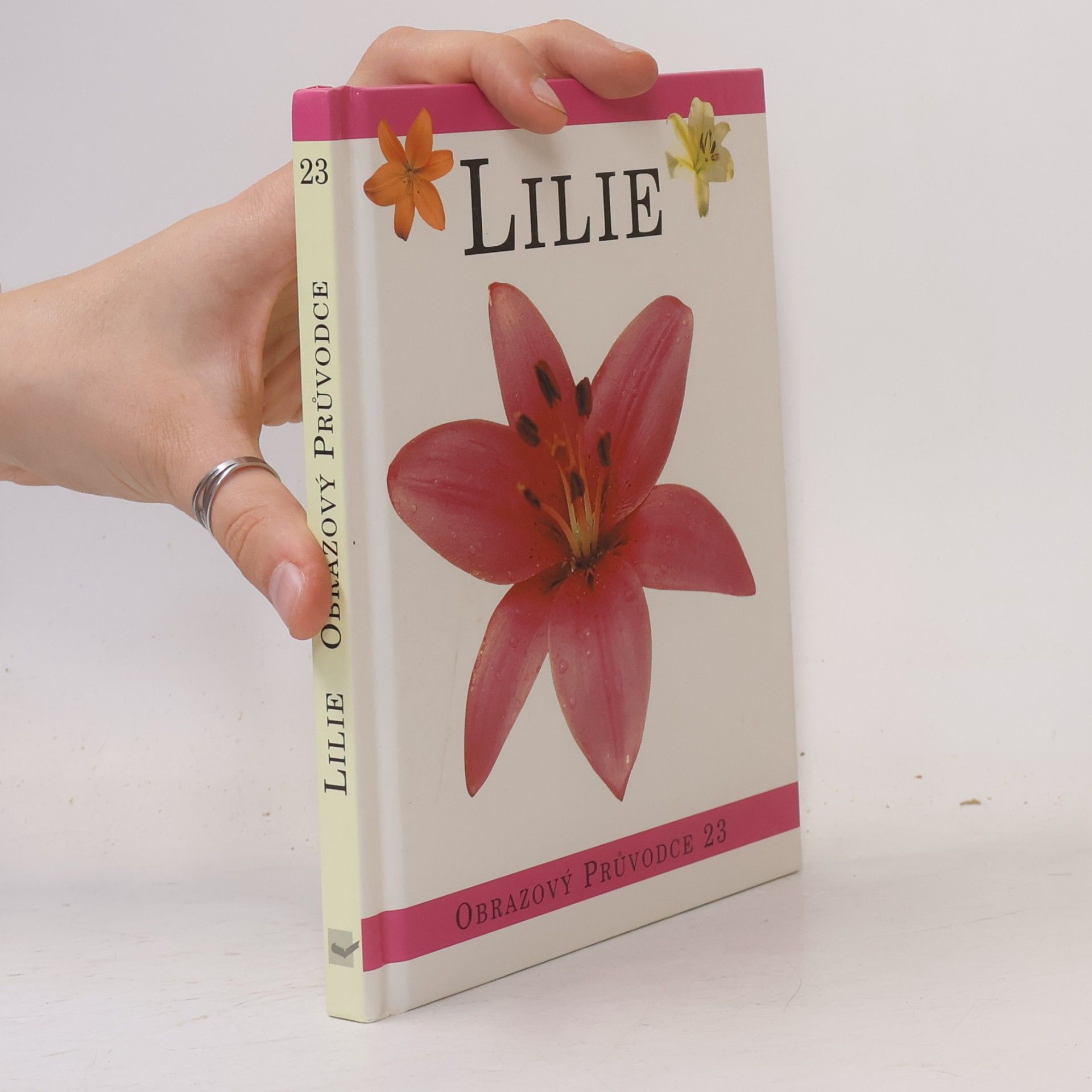 Autorenkollektiv Lilie