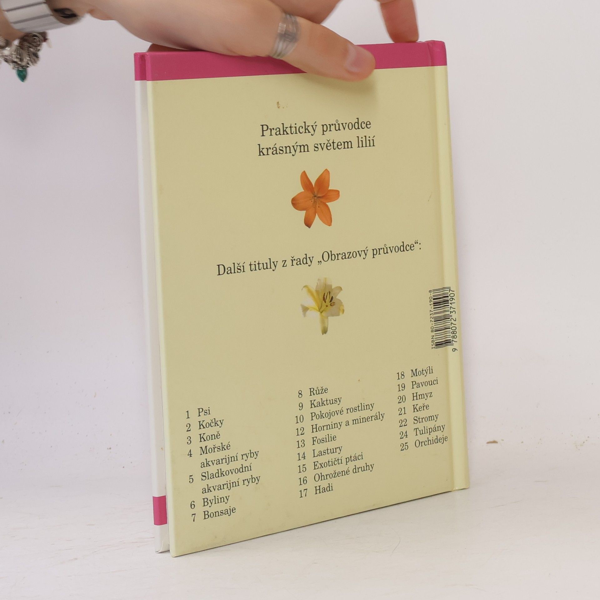 Autores varios Lilie