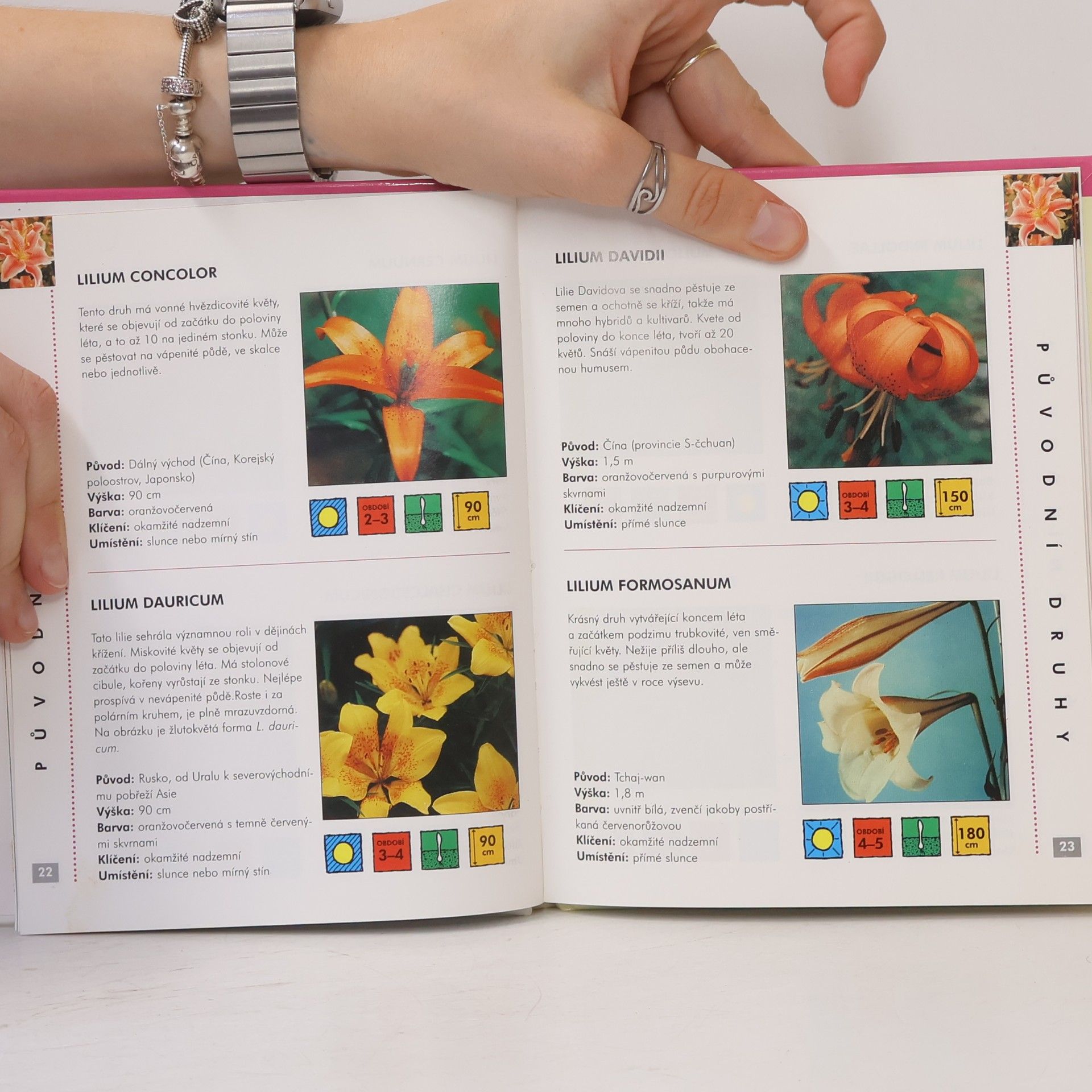 Autores varios Lilie