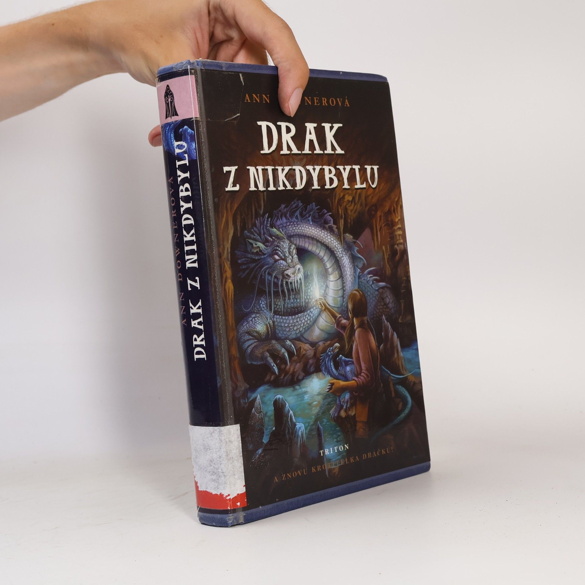 Ann Downer Drak z Nikdybylu