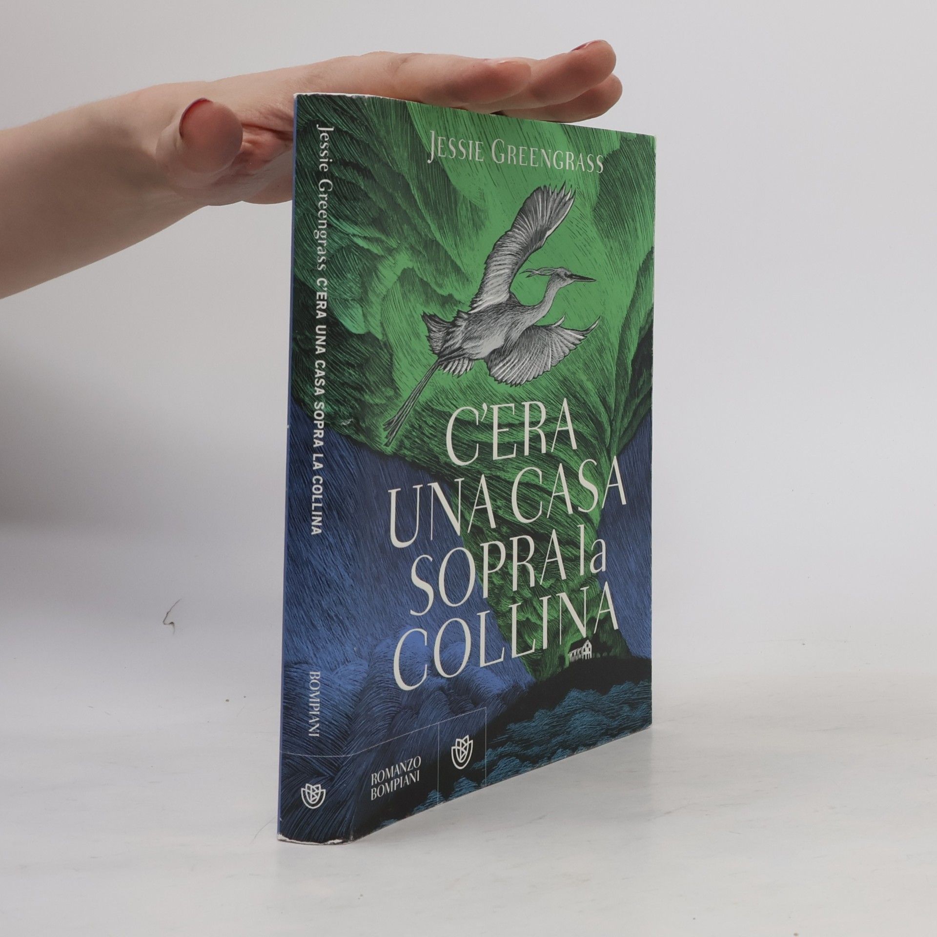 Jessie Greengrass C'era una casa sopra la collina