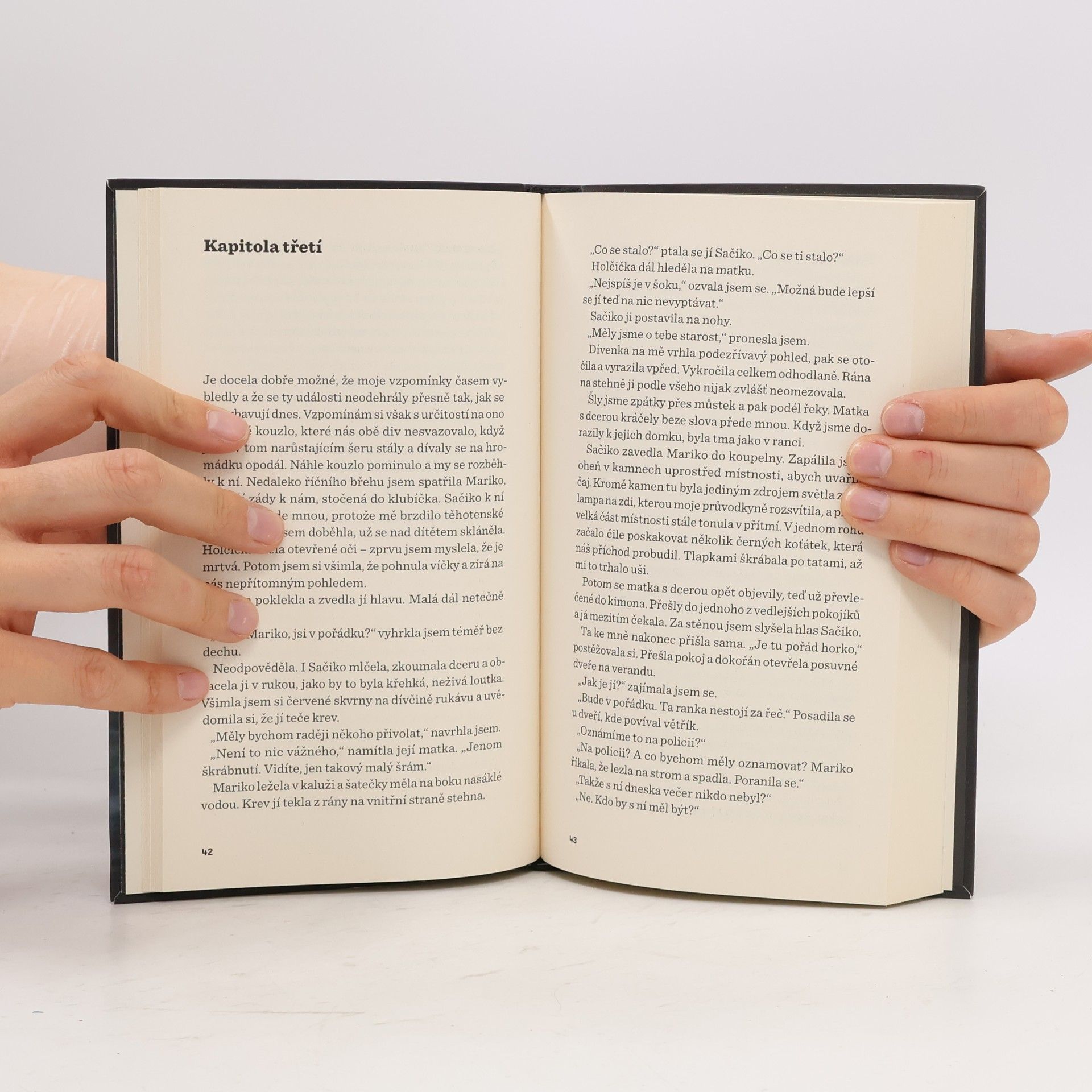 Kazuo Ishiguro Vybledlá krajina s kopci