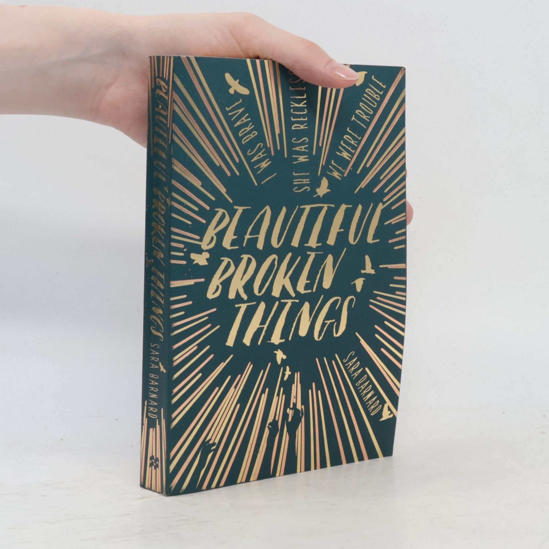 Sara Barnard Beautiful broken things