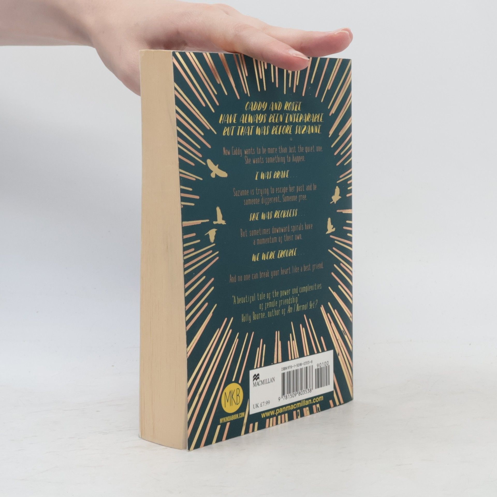 Sara Barnard Beautiful broken things