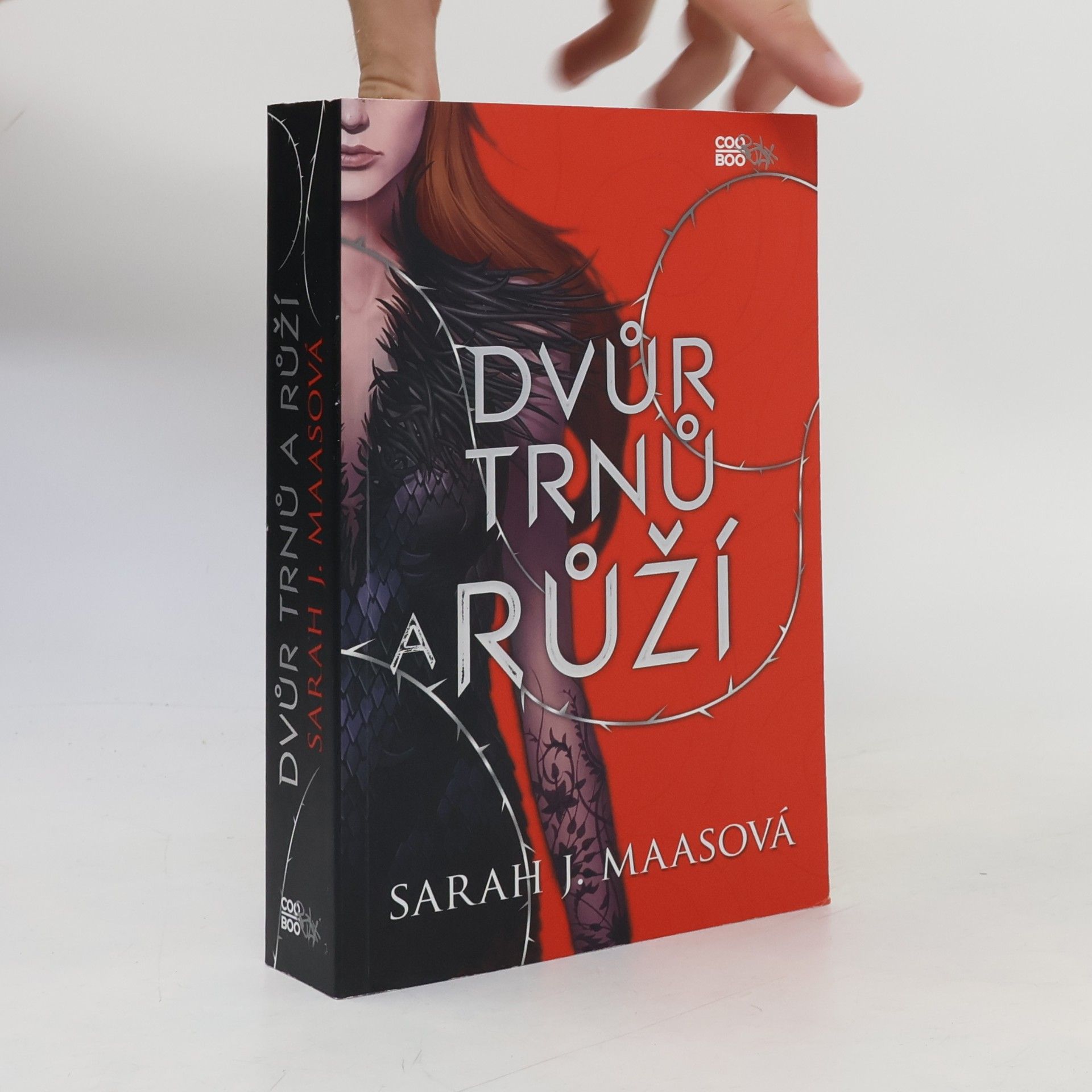 Sarah J. Maas Dvůr trnů a růží