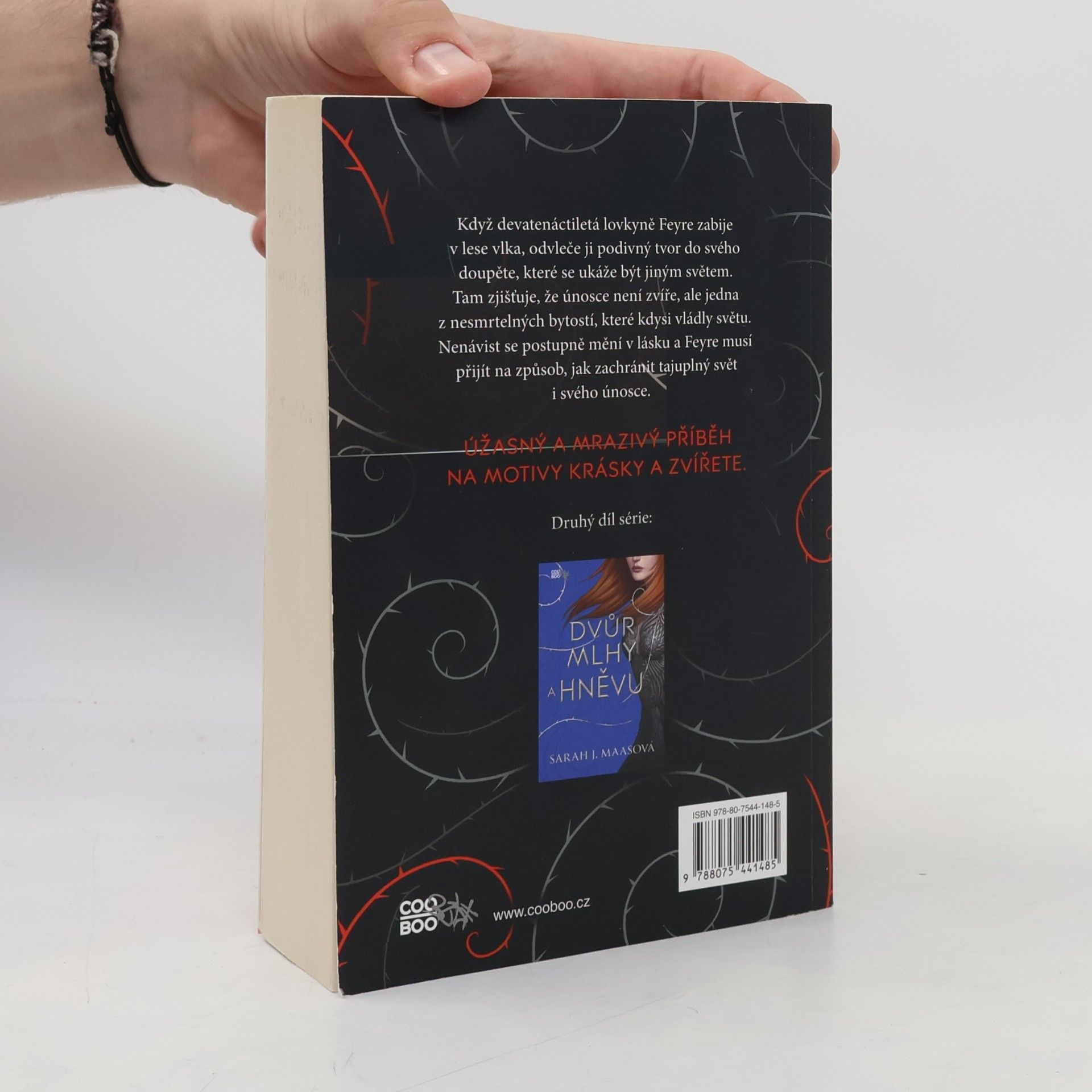 Sarah J. Maas Dvůr trnů a růží