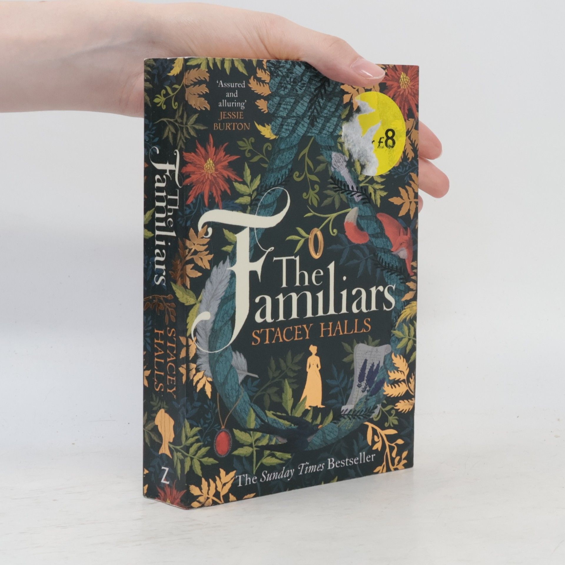 Stacey Halls The familiars