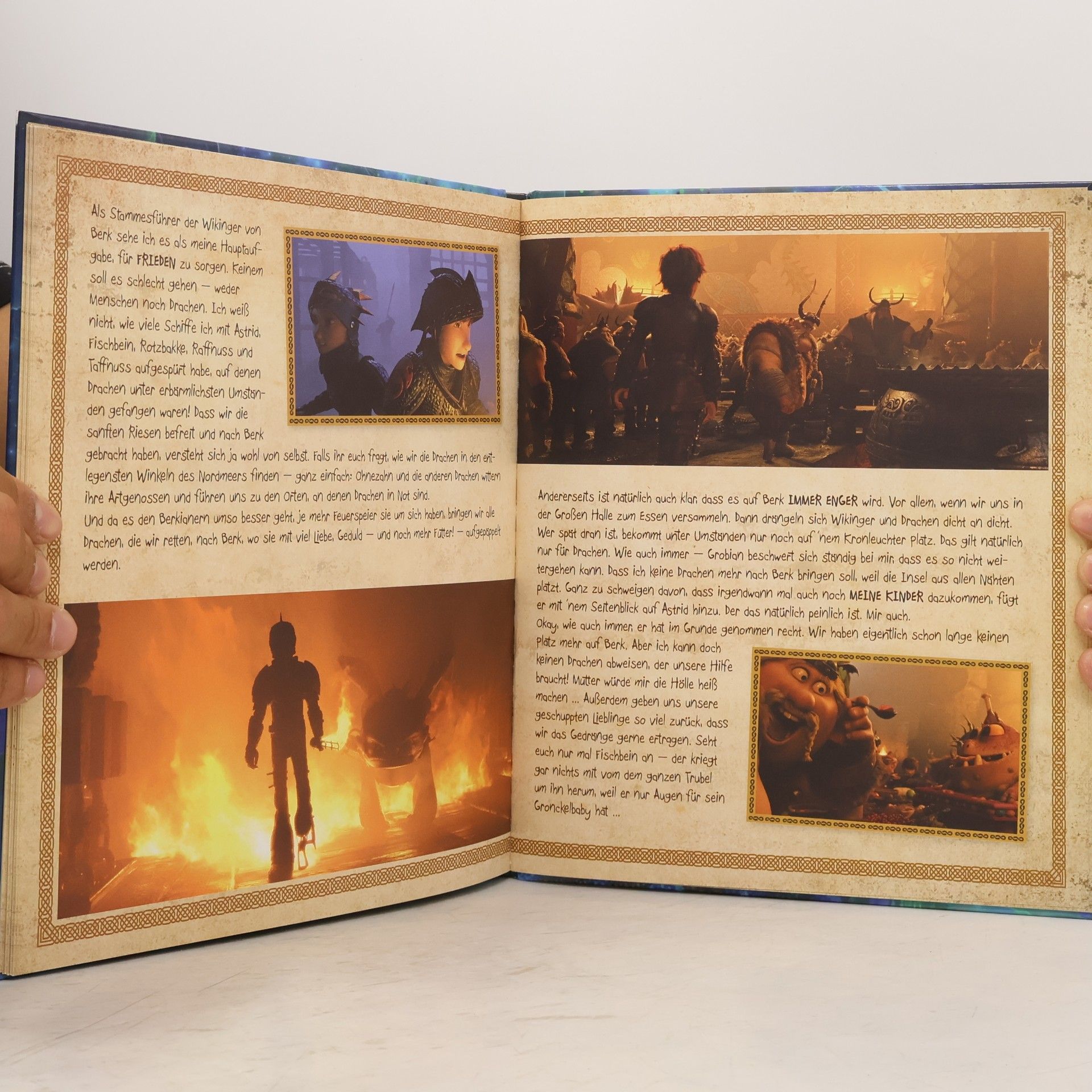 Hiccup Horrendous Haddock Die ganze Geschichte von mir und Ohnezahn
