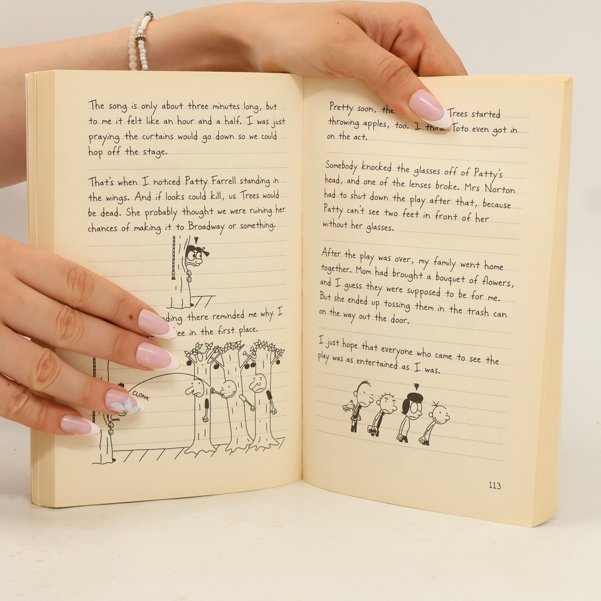 Jeff Kinney Diary of a Wimpy Kid 1