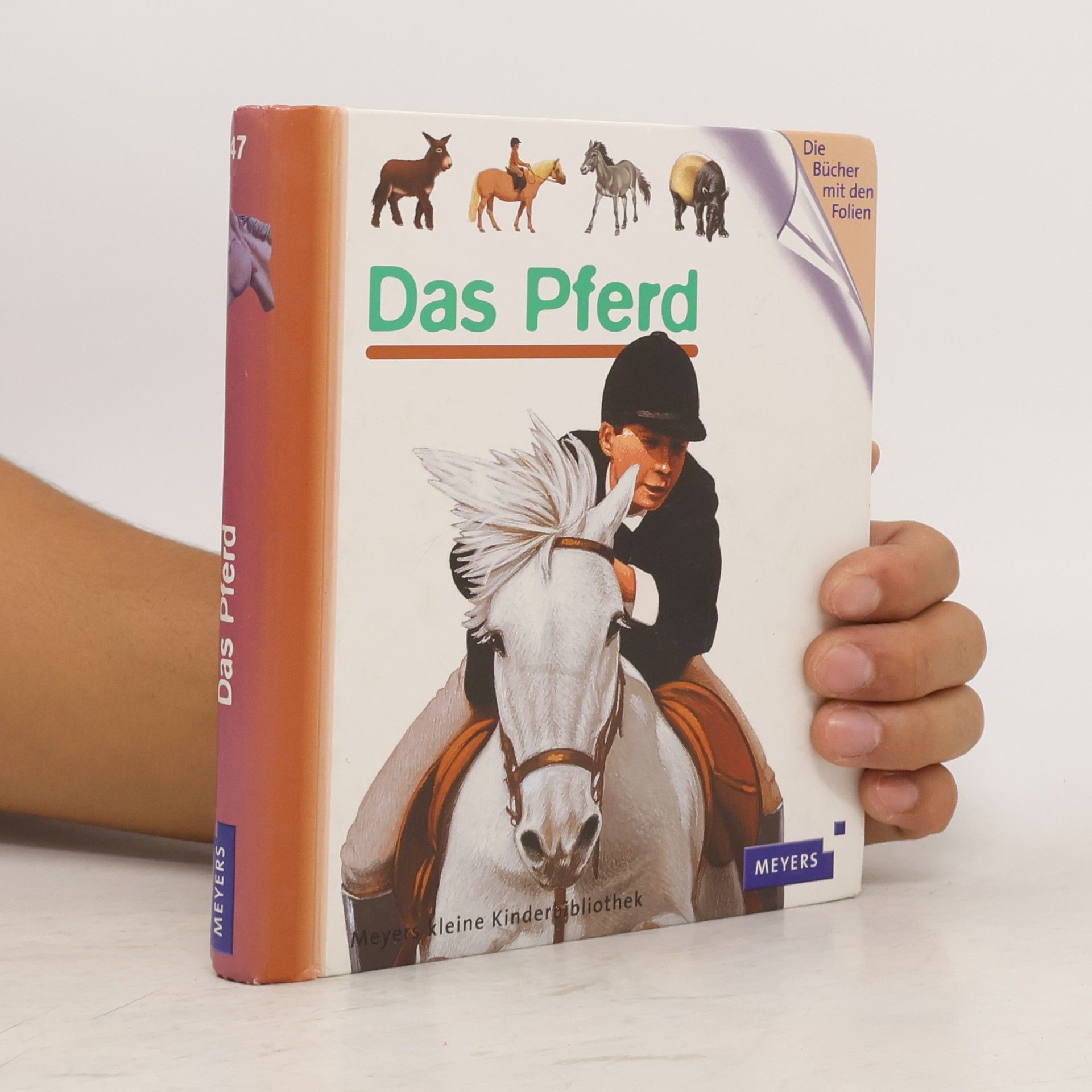 Henri Galeron Das Pferd