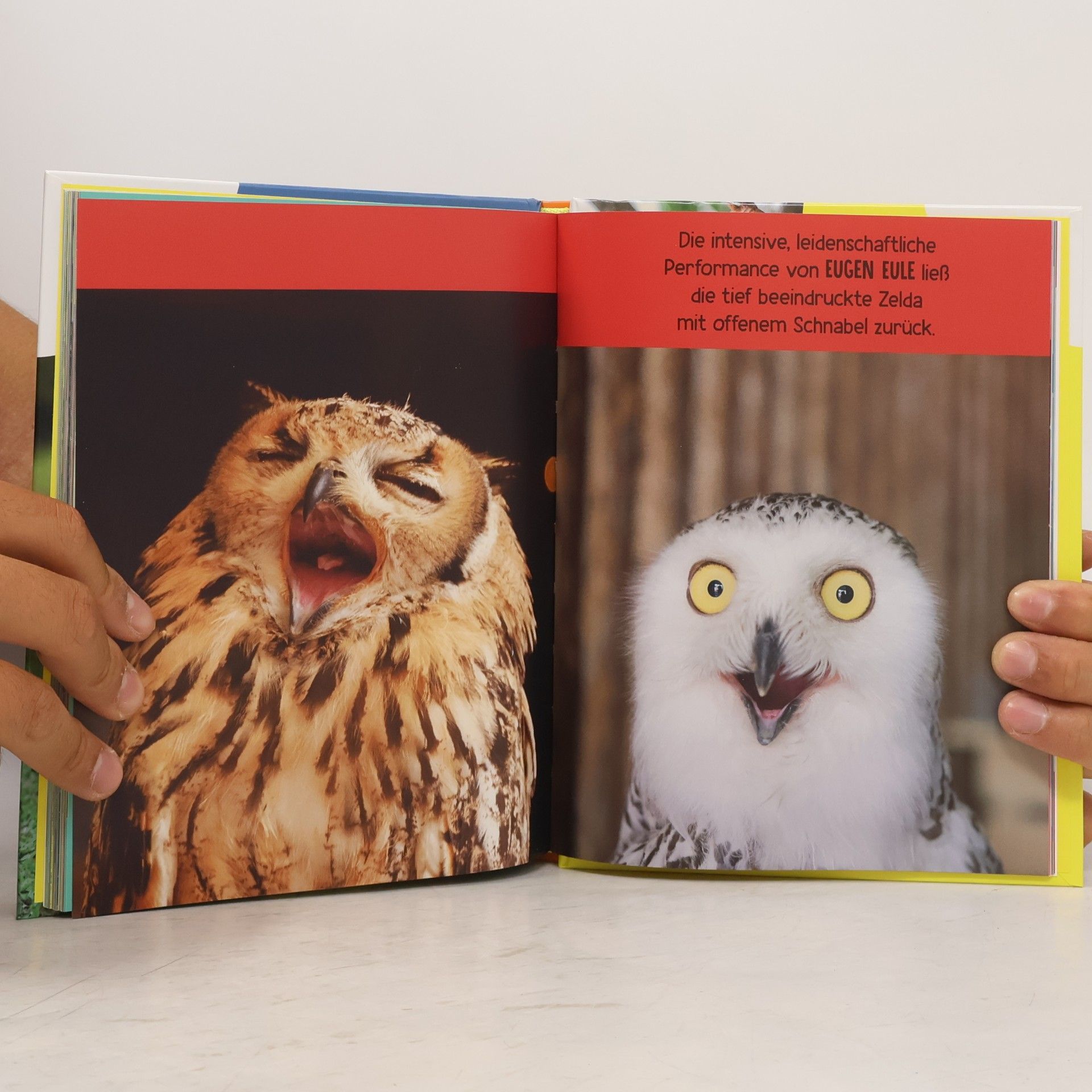 Autorenkollektiv Das wahre Leben der Tiere