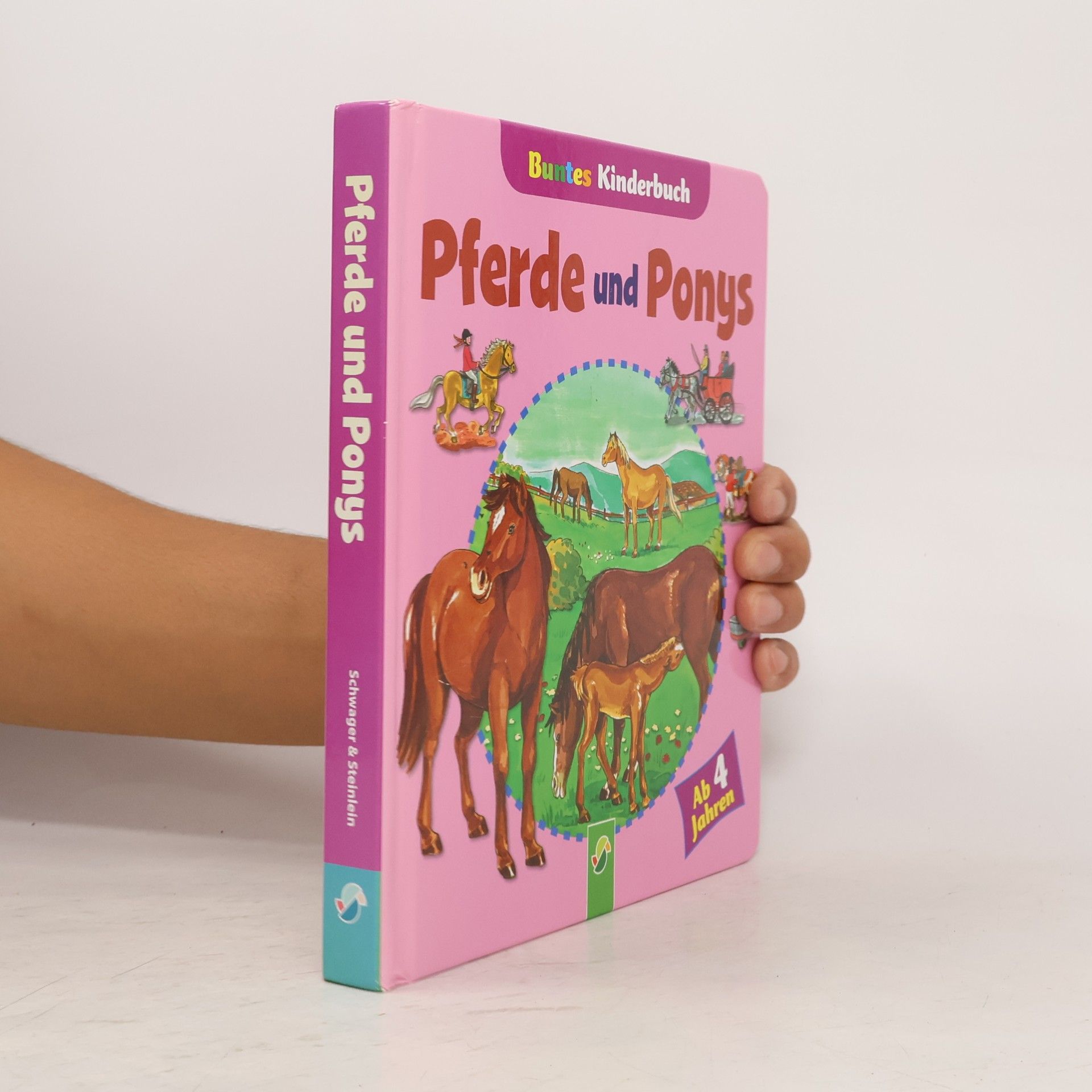 Lisa Maurer Pferde und Ponys