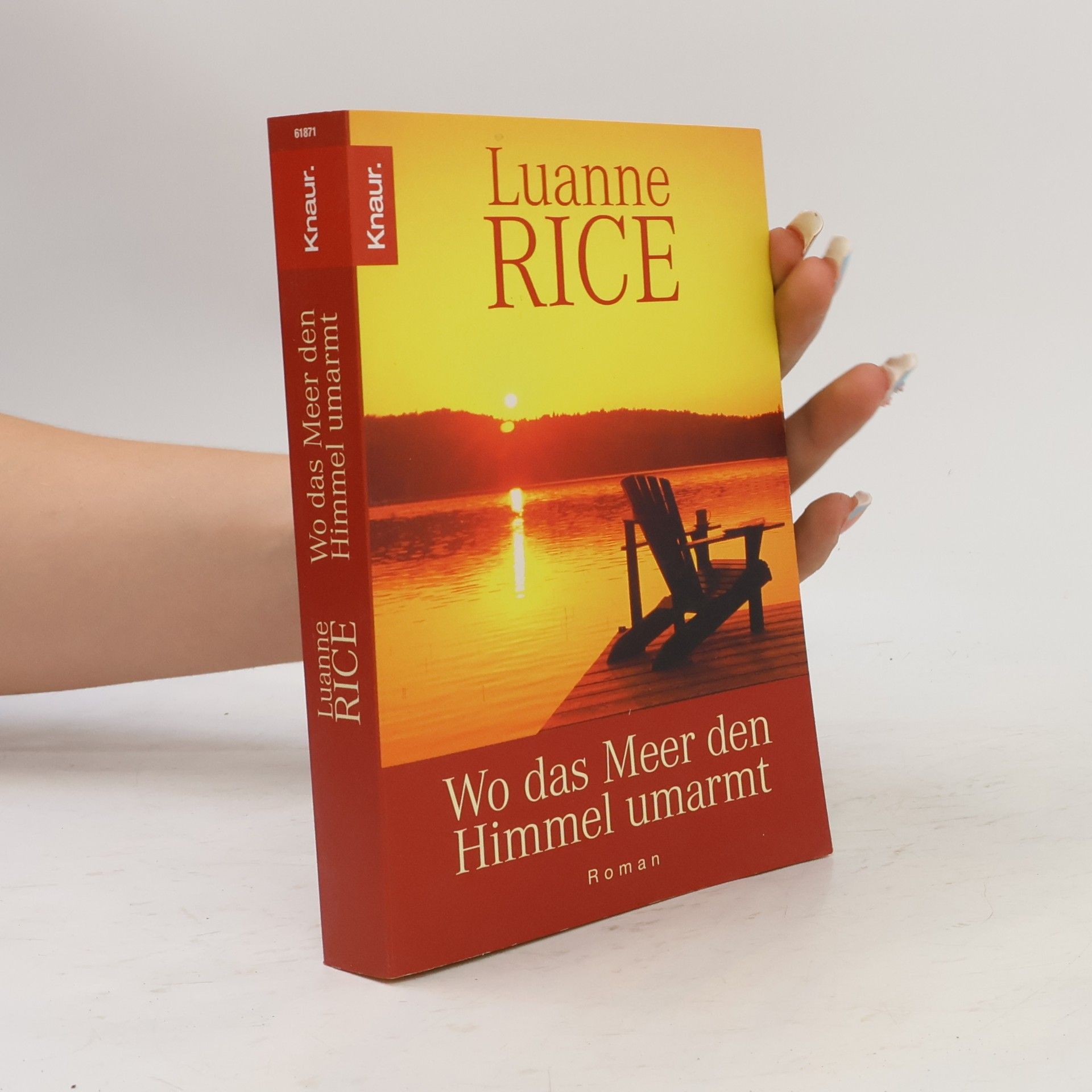 Luanne Rice Wo das Meer den Himmel umarmt