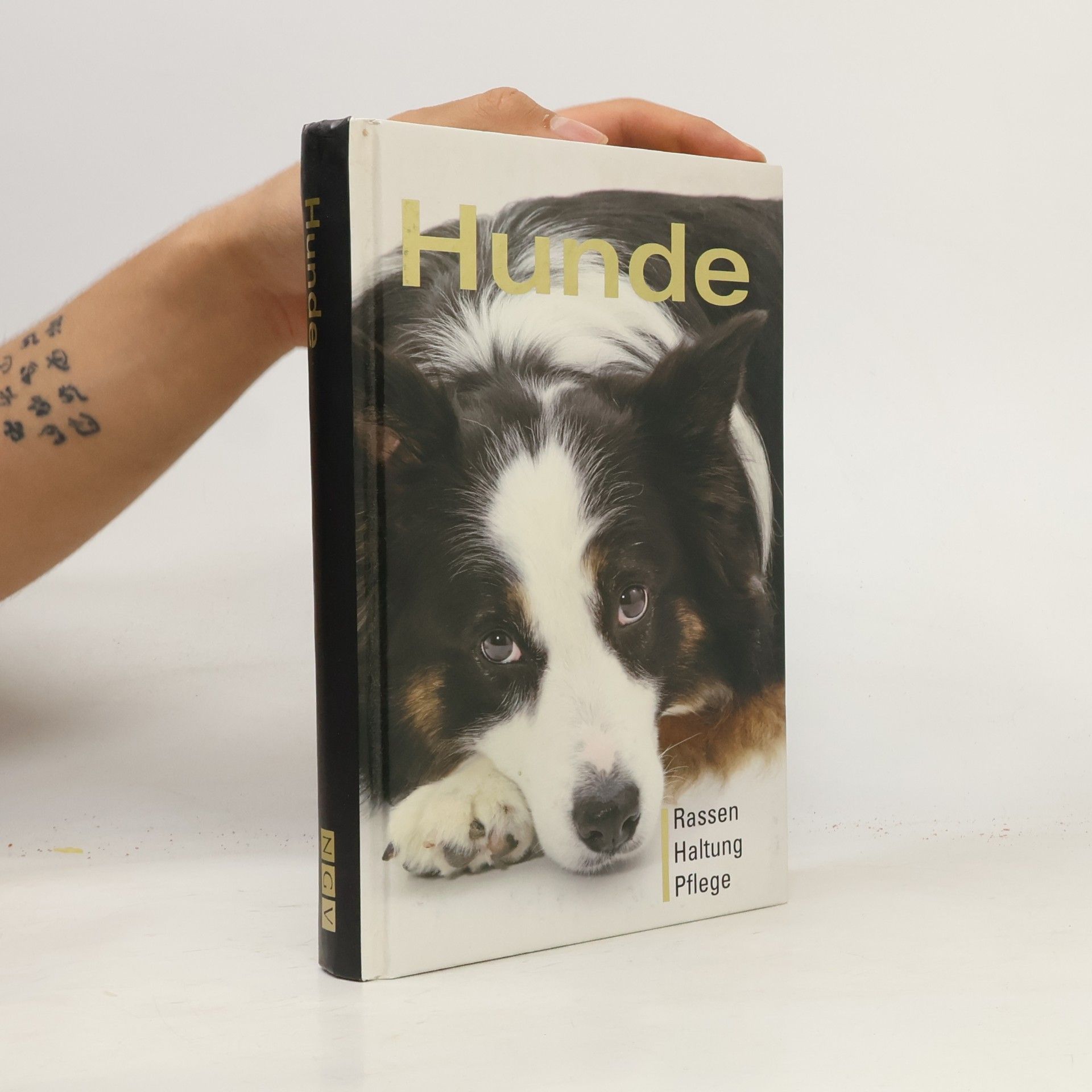 Autorenkollektiv Hunde