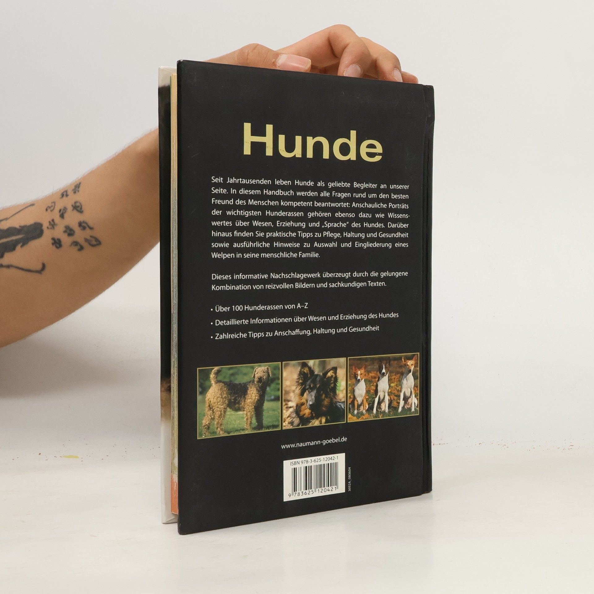 Hunde