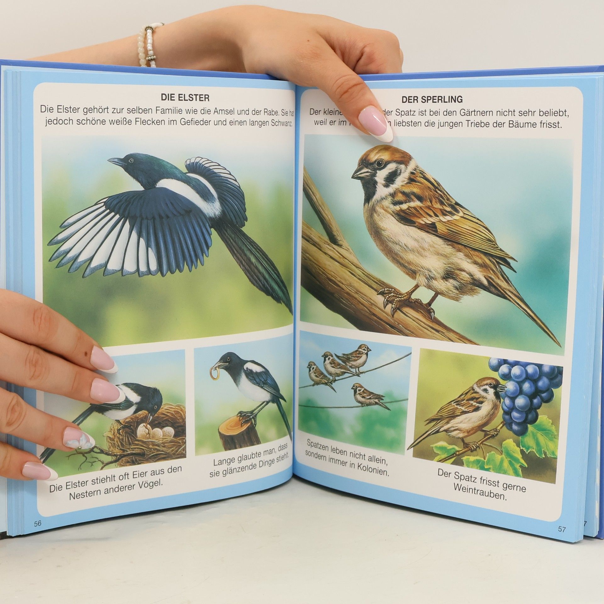 Various authors Kinderwissen. Tiere