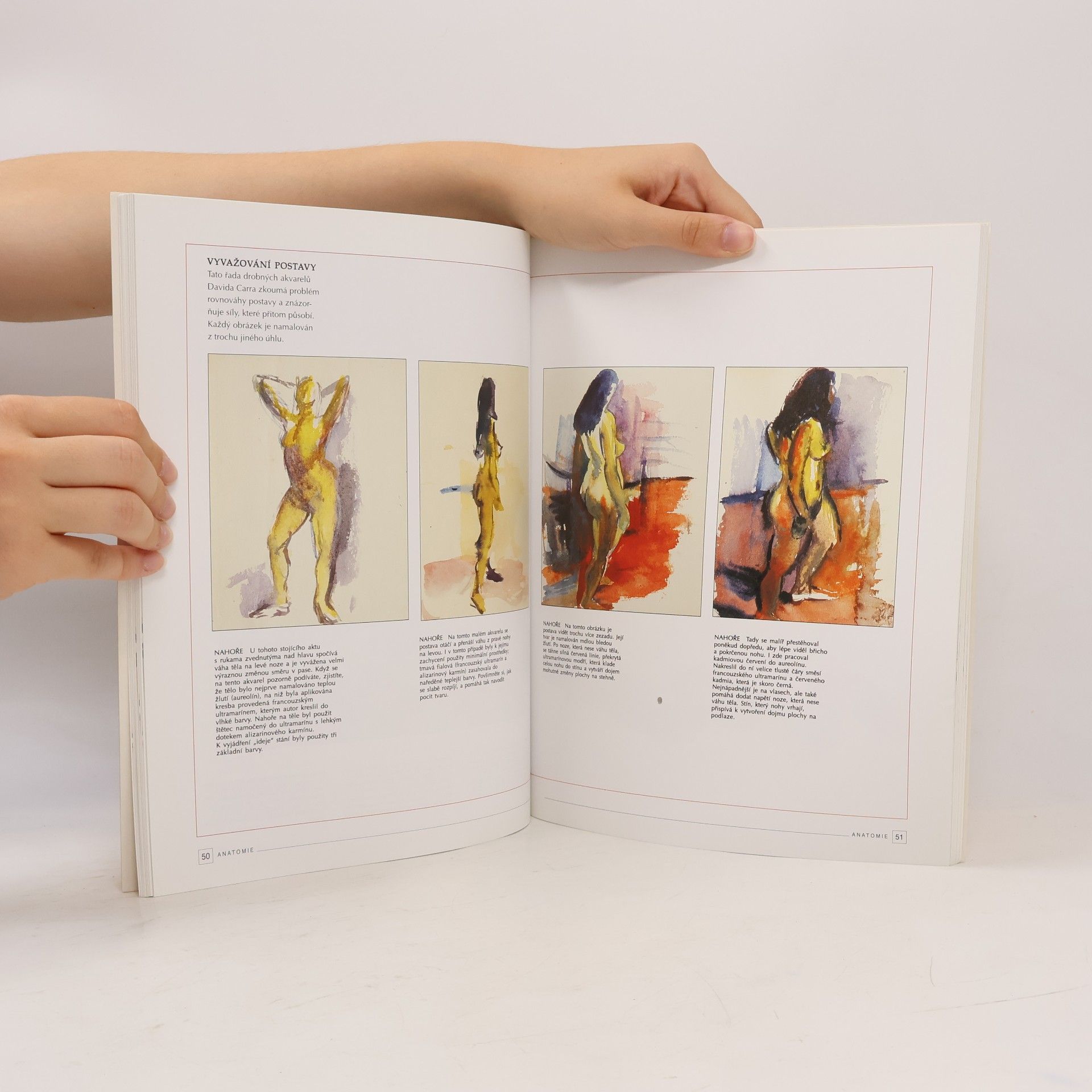 David Carr Jak malovat lidské tělo. Anatomie, tvar, kompozice, tónování, struktura, barva
