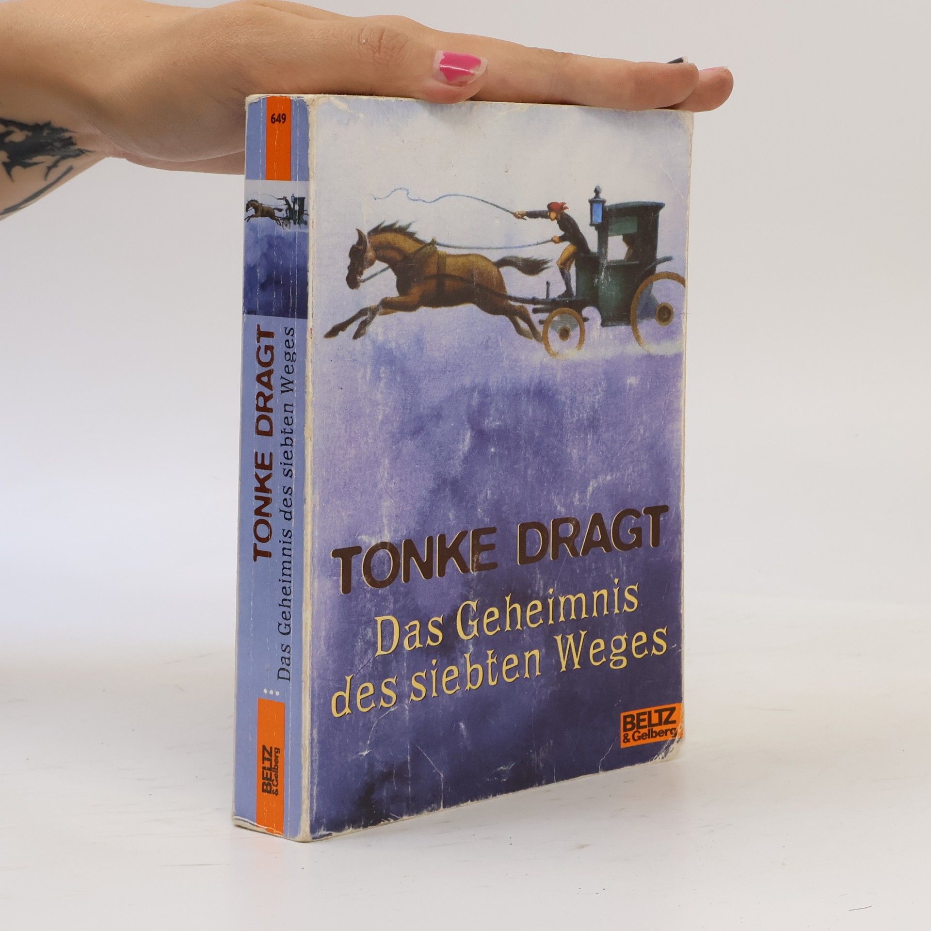 Tonke Dragt Das Geheimnis des siebten Weges.