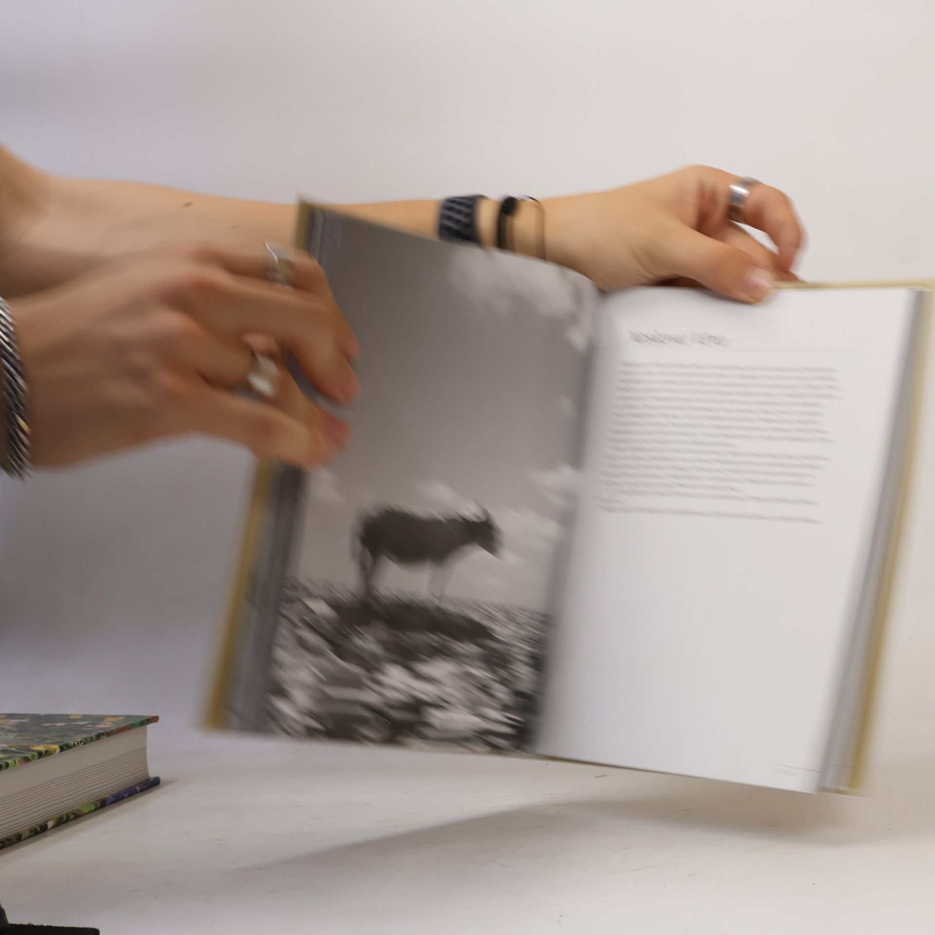 Miroslav Huptych Milovníci knížek