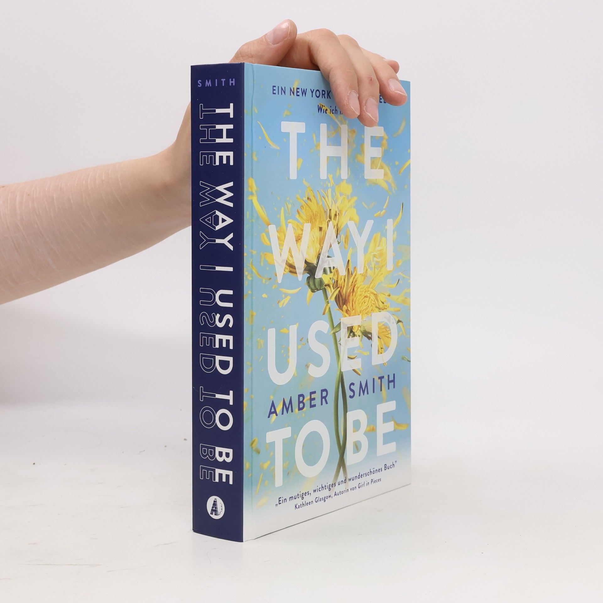 Amber Smith Wie ich mal war. The Way I Used to Be