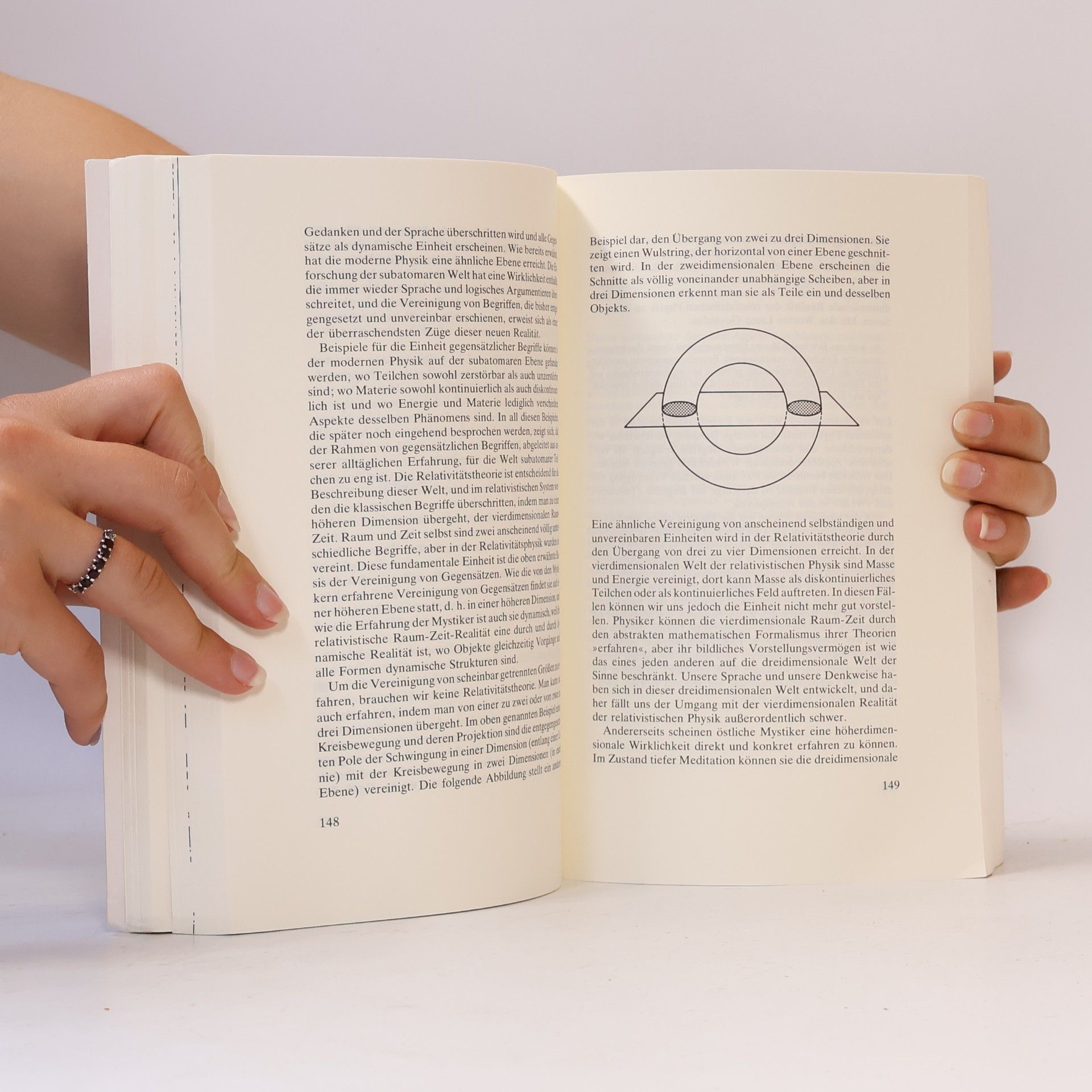 Fritjof Capra Das Tao der Physik