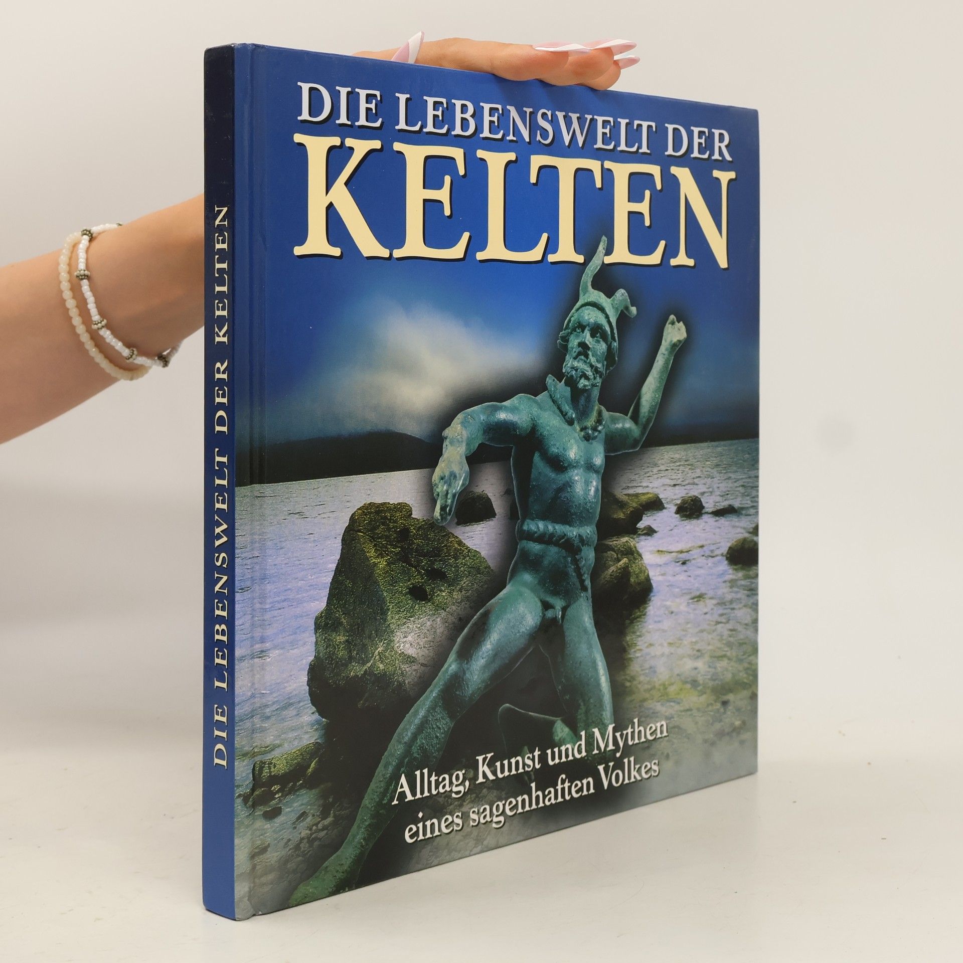 Juliette Wood Die Lebenswelt der Kelten