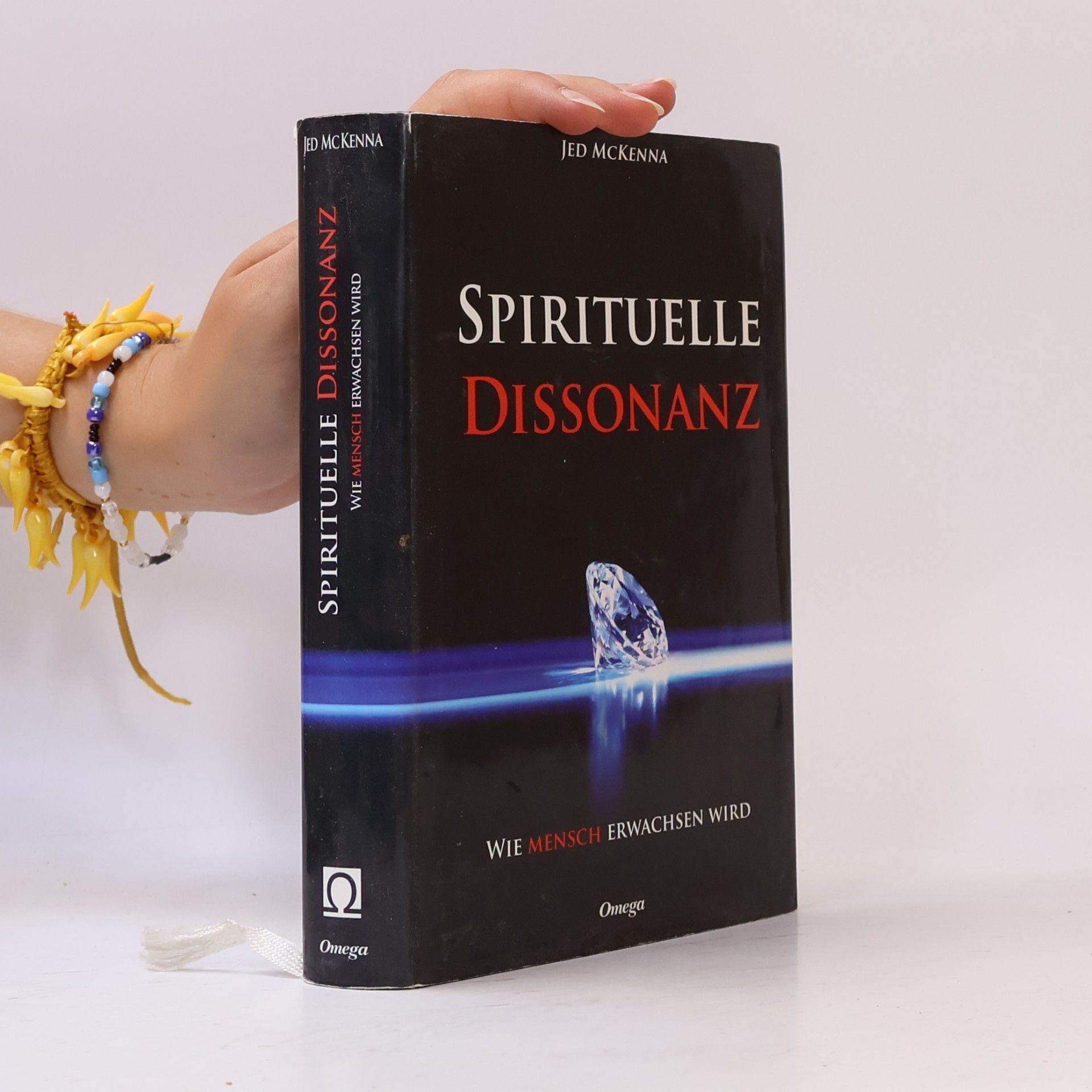 Jed McKenna Spirituelle Dissonanz