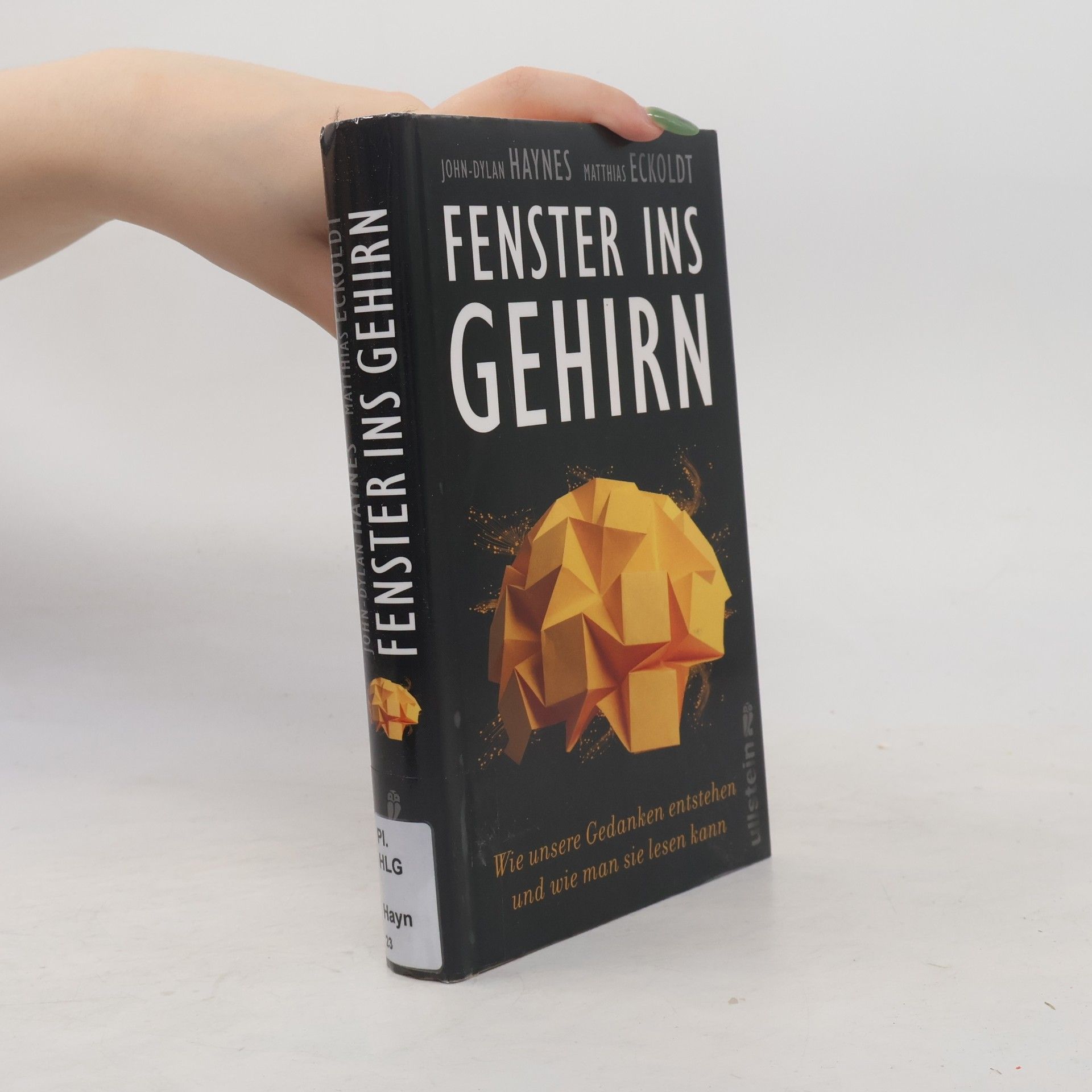 John M. Haynes Fenster ins Gehirn
