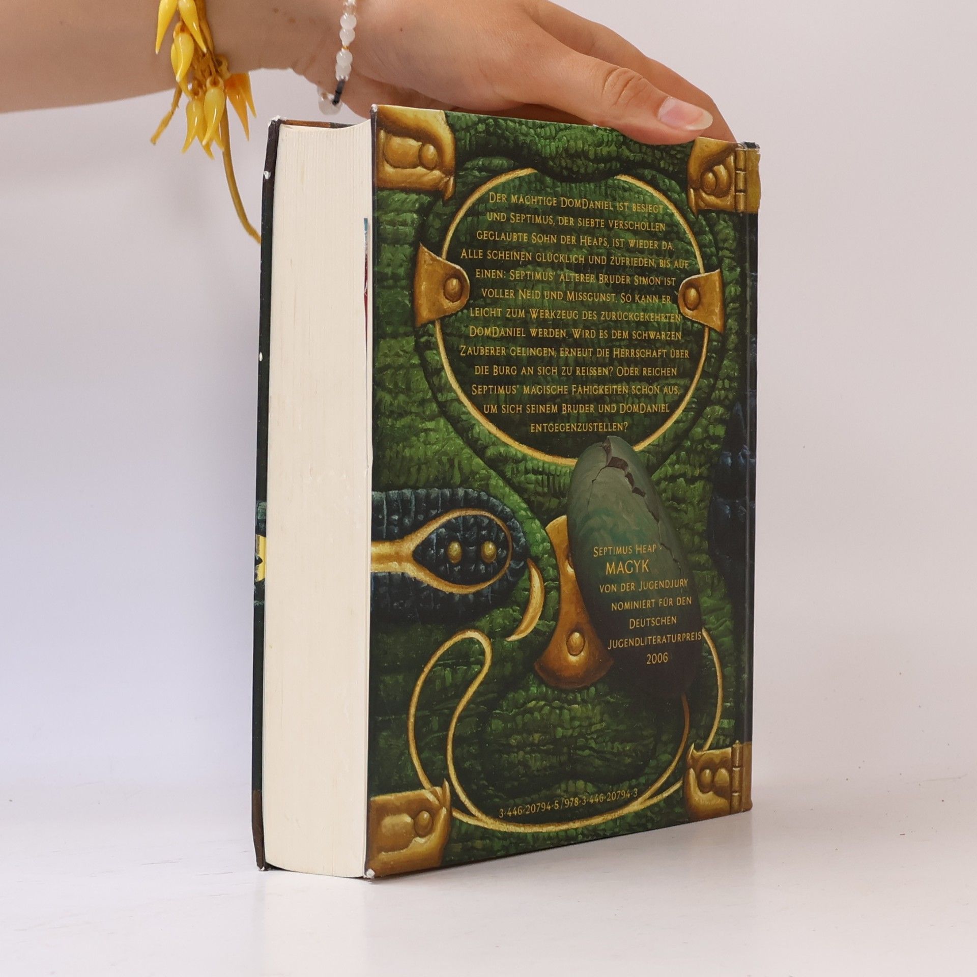 Angie Sage Septimus Heap: Flyte